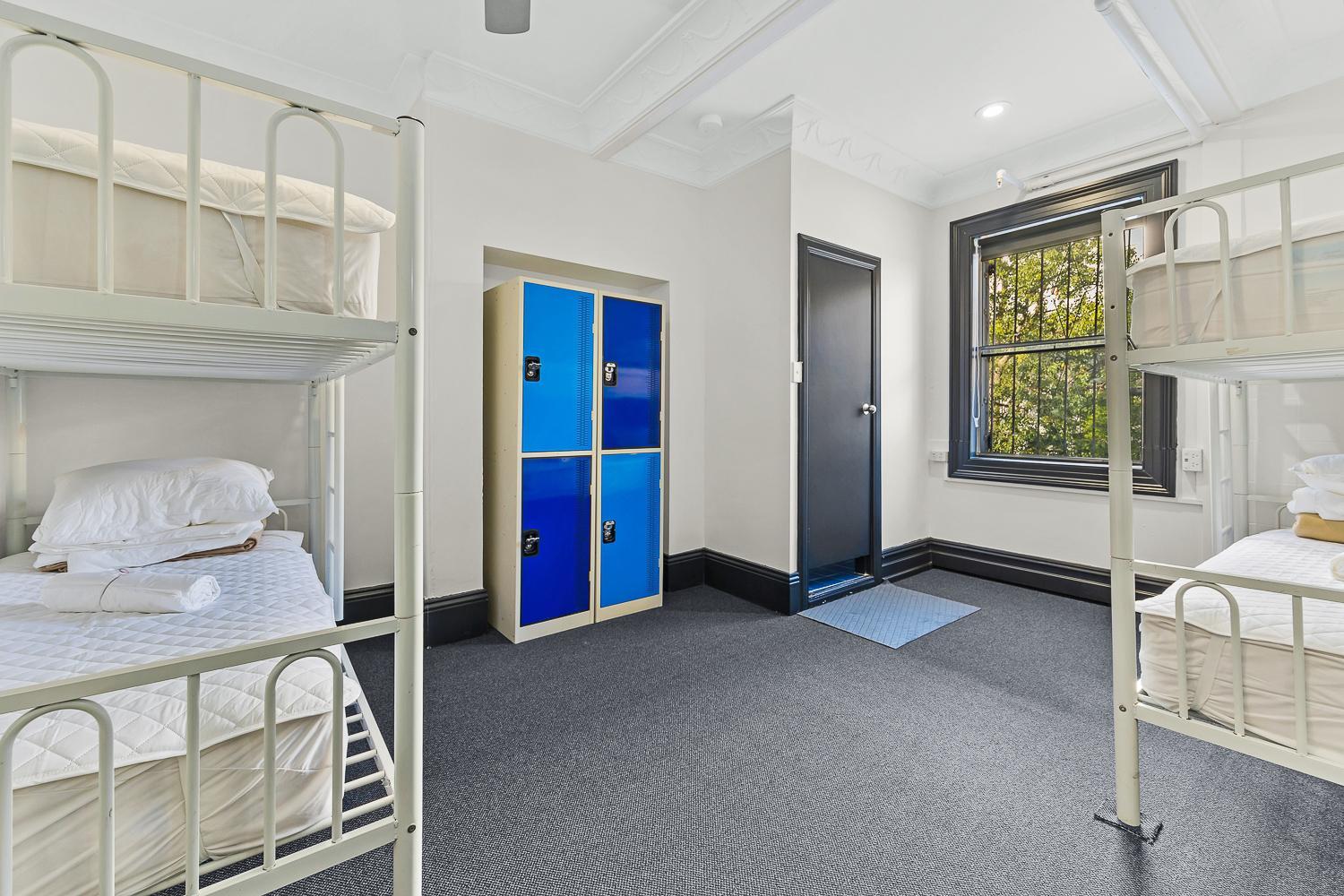 London Plane Backpackers