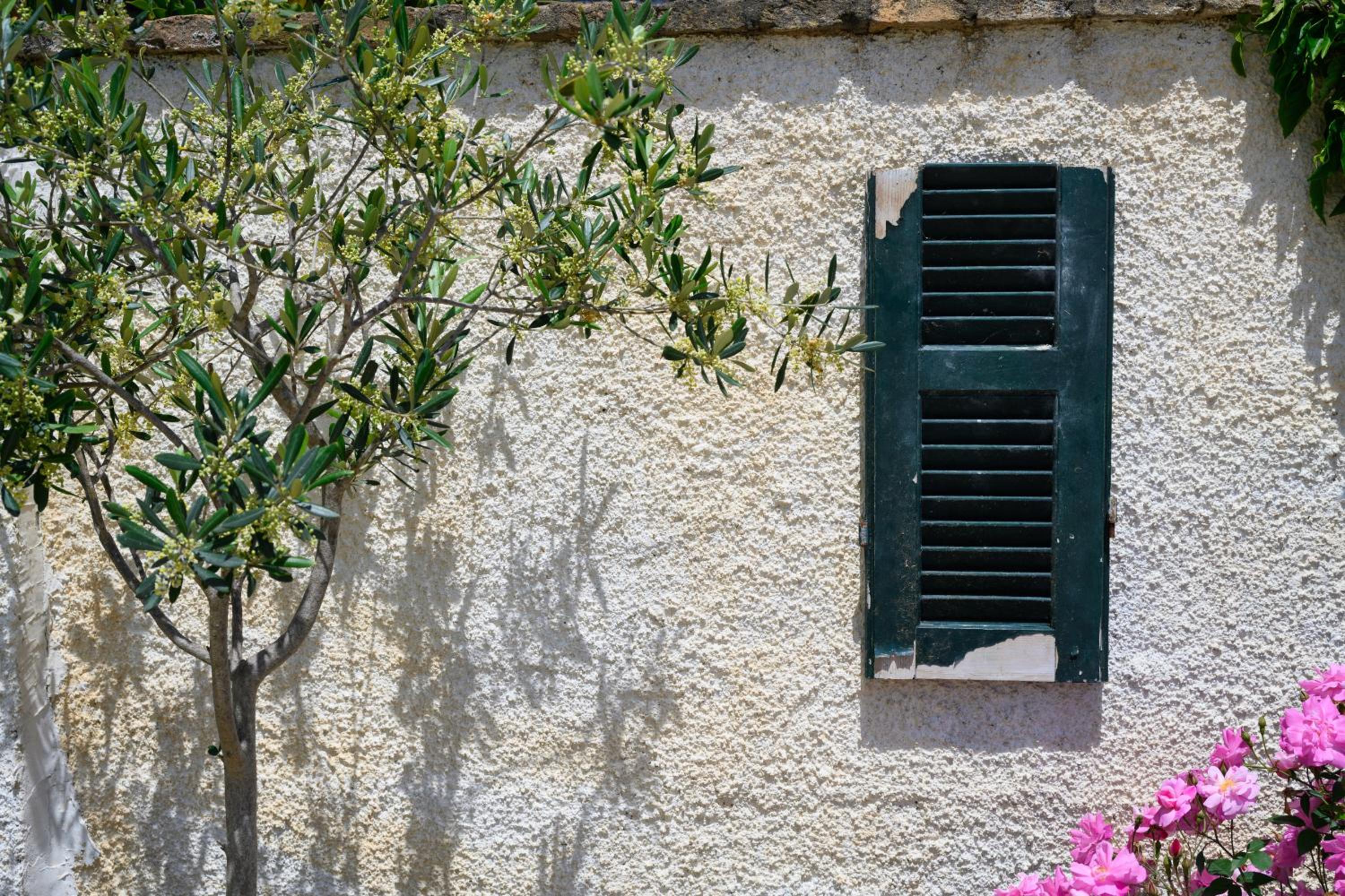 Harmony Corfu Apartments & Studios