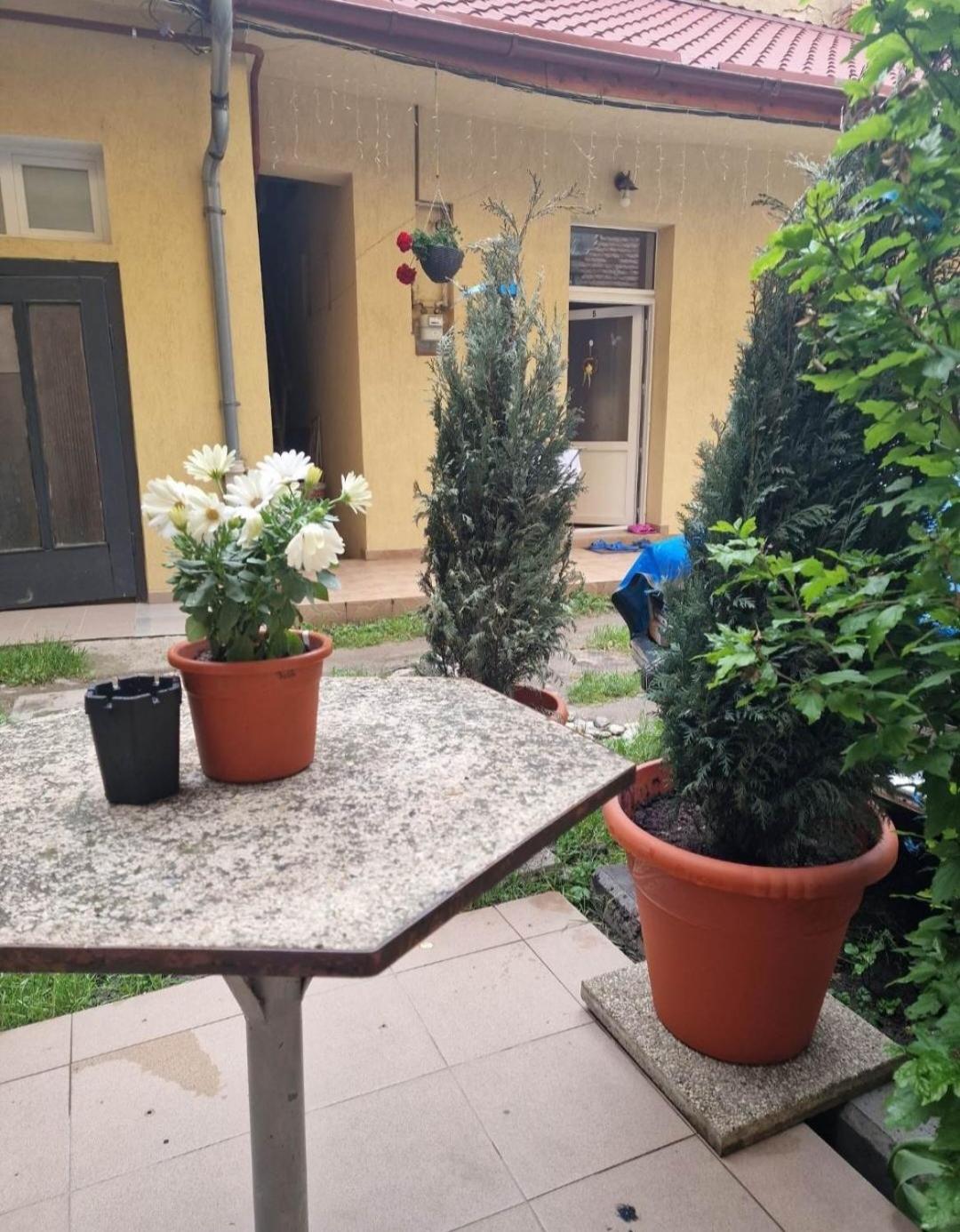 Apartament Central Traian Moșoiu , Parcare proprie view 2