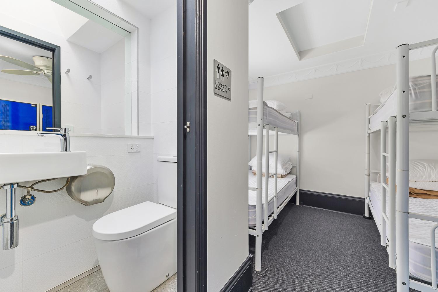 London Plane Backpackers