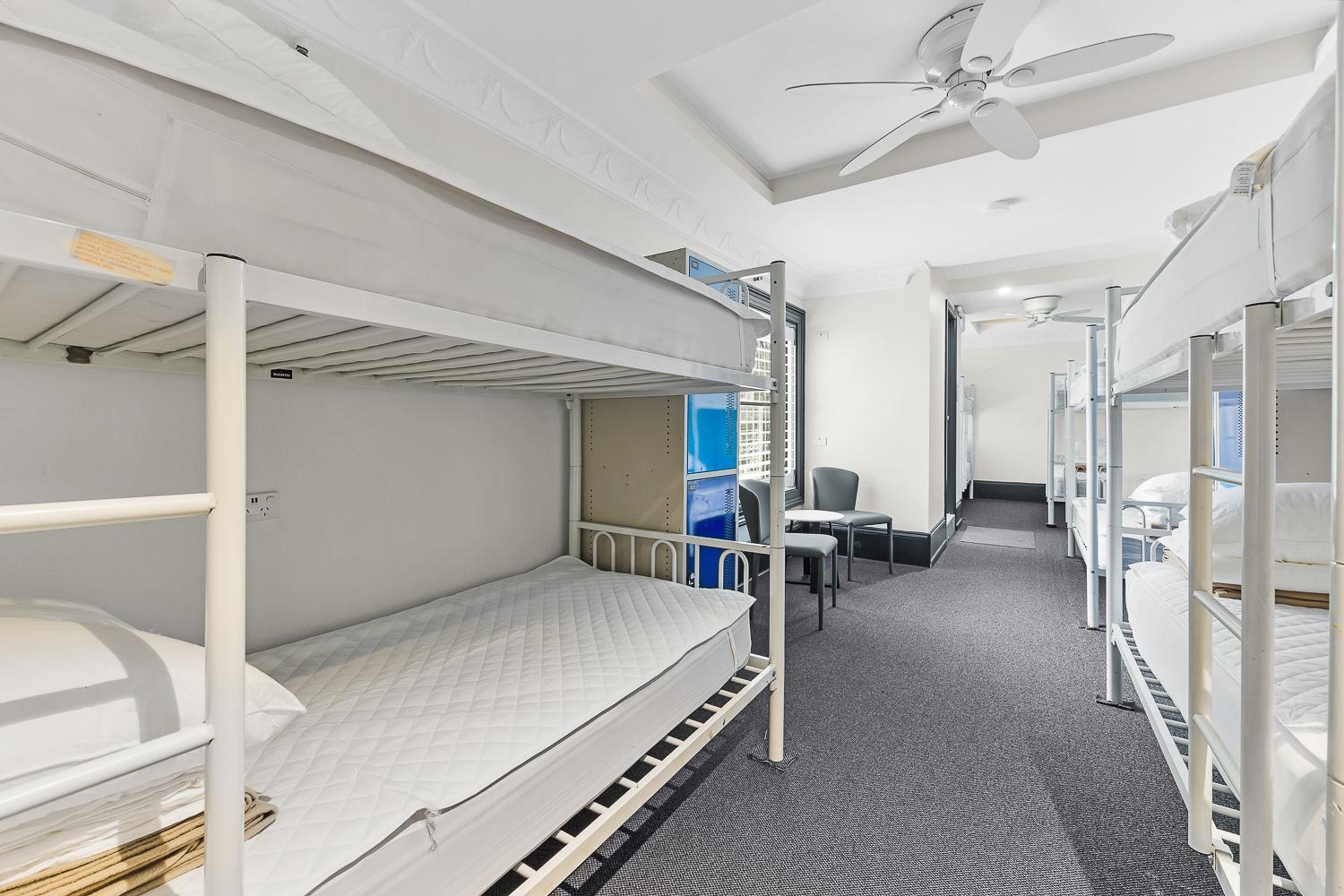 London Plane Backpackers