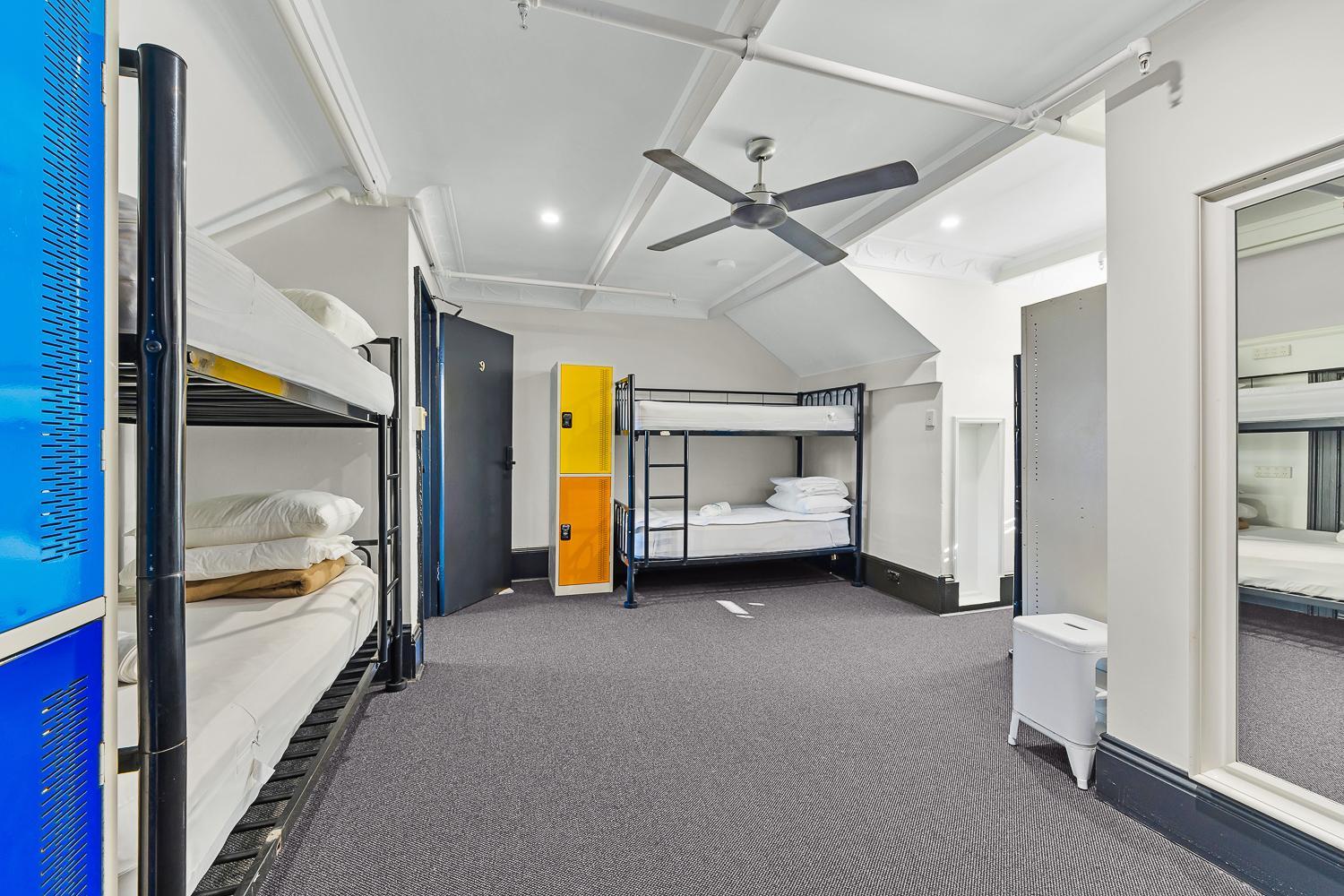London Plane Backpackers