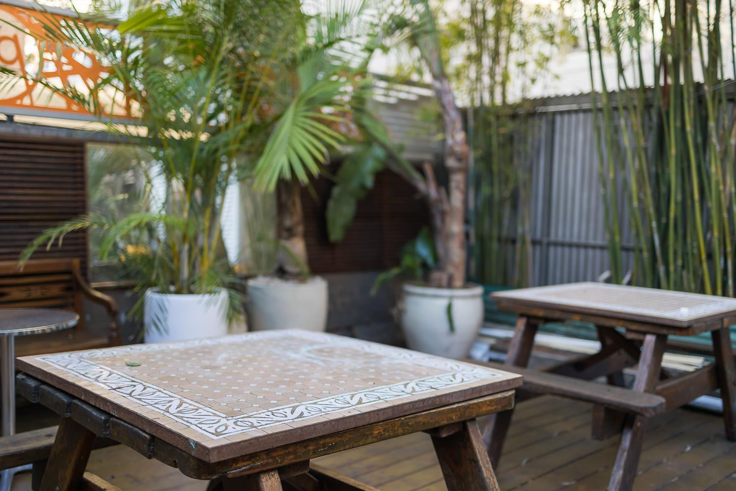 London Plane Backpackers