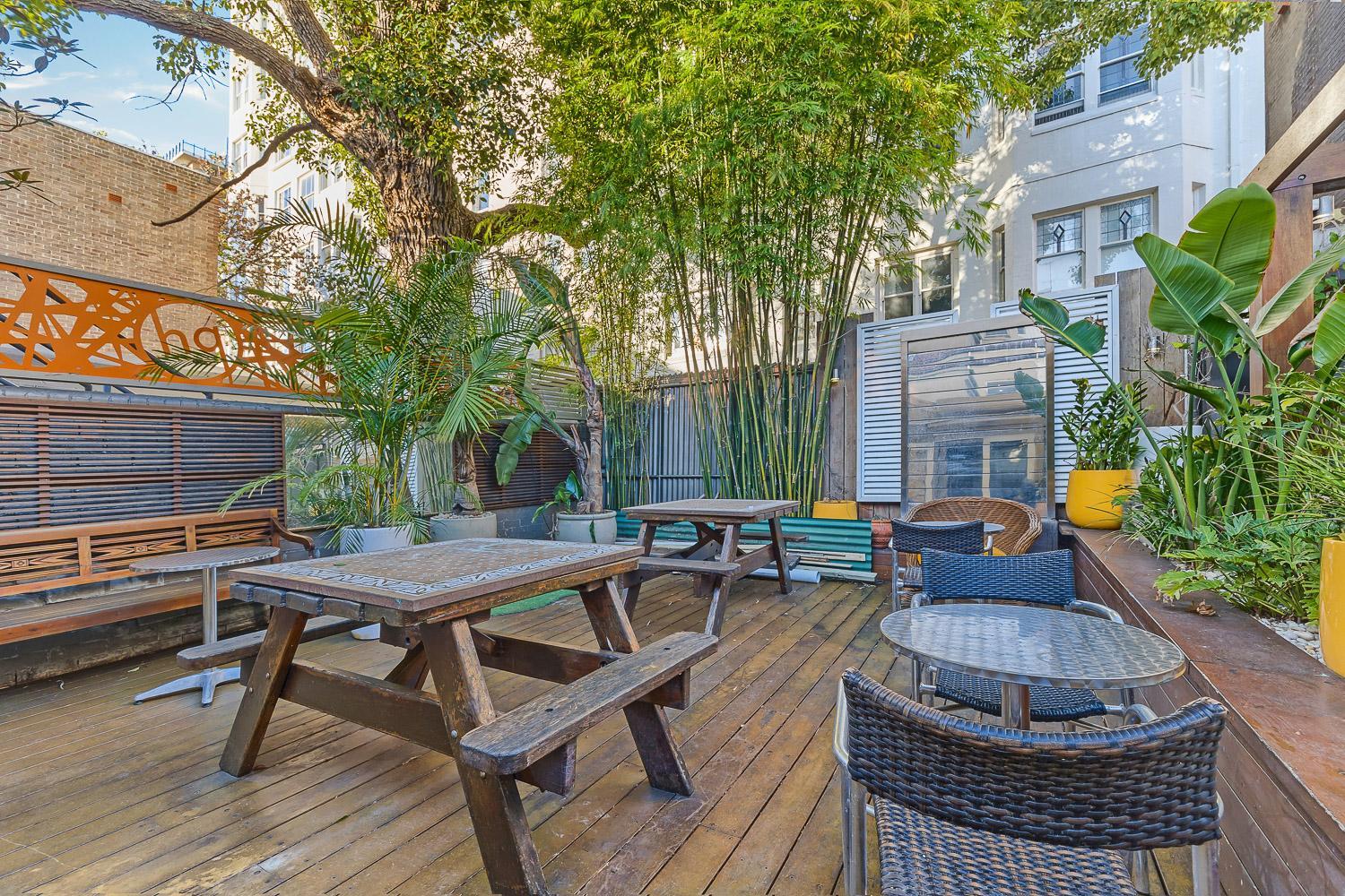 London Plane Backpackers