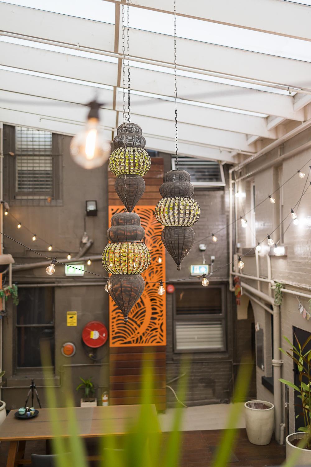 London Plane Backpackers