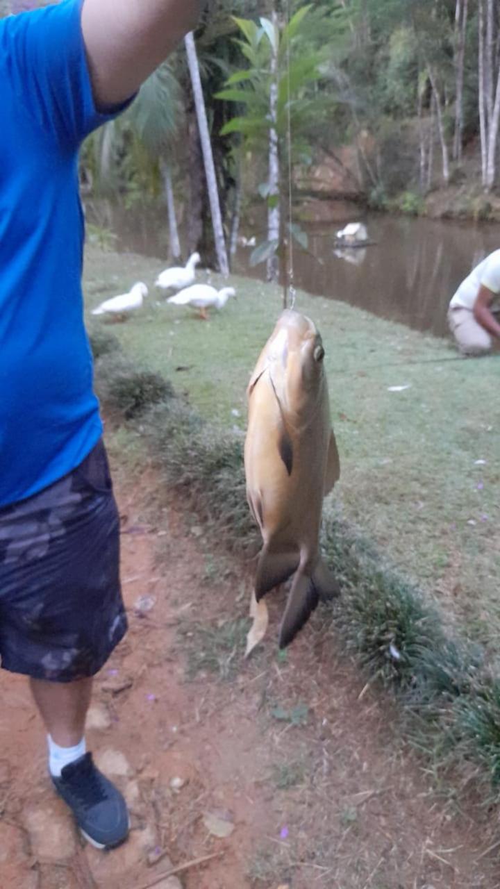 Sitio Camundongo