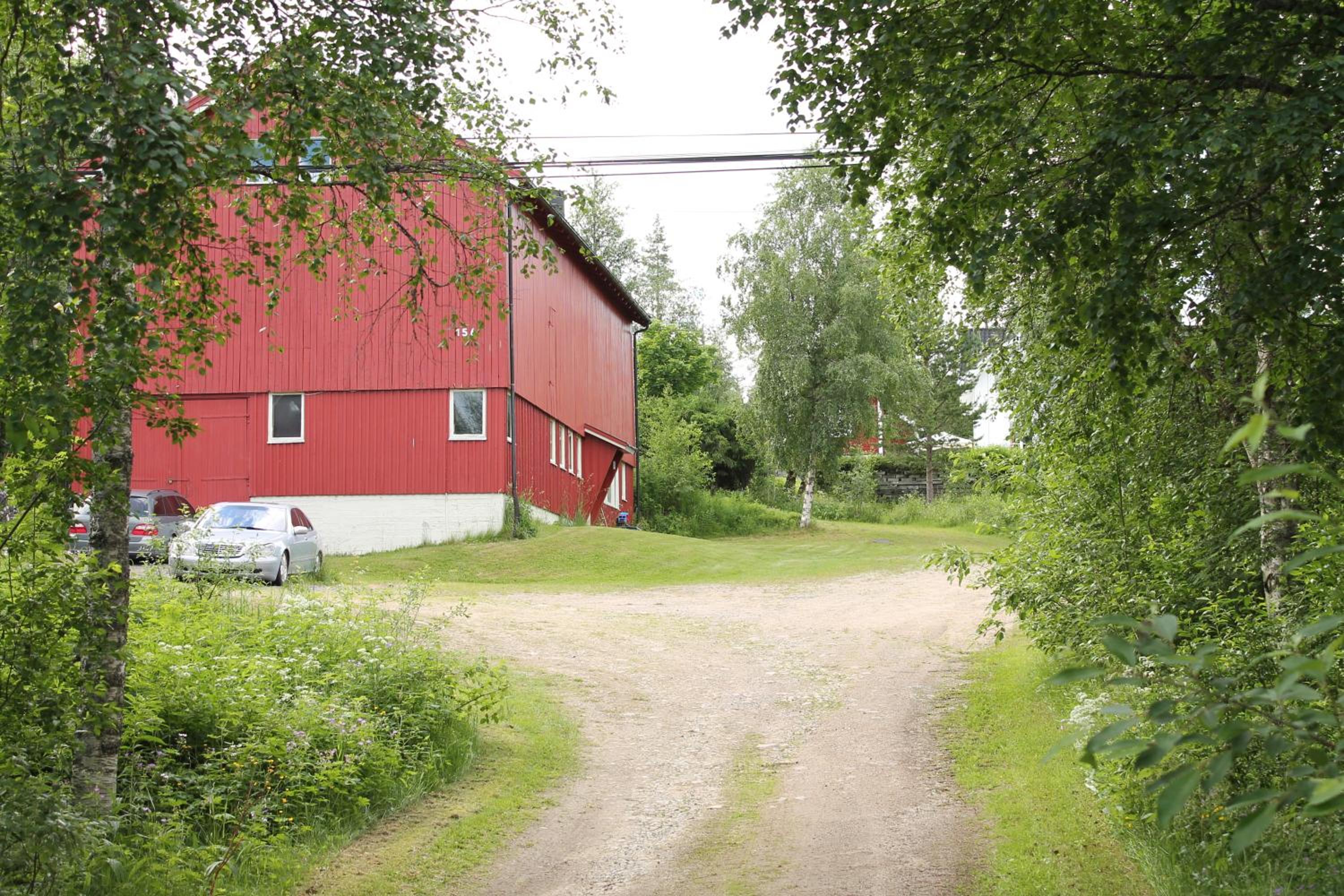 Photo 16