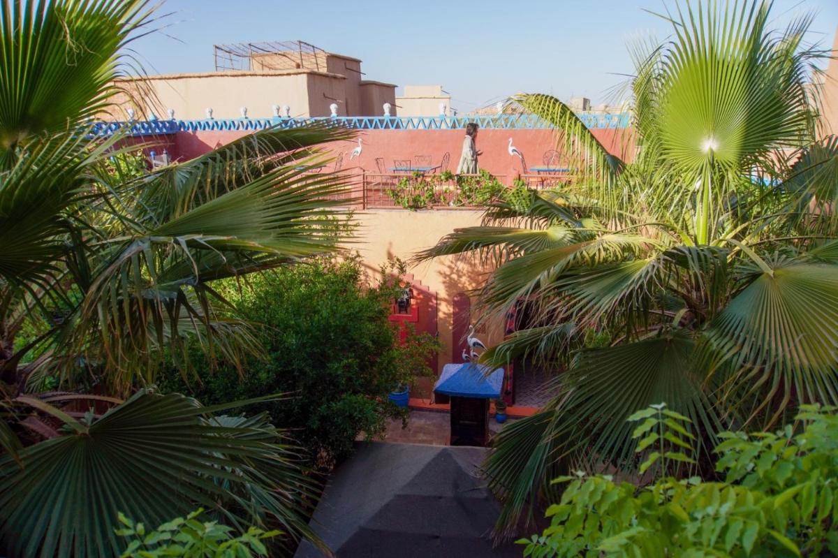 Riad Dades Birds