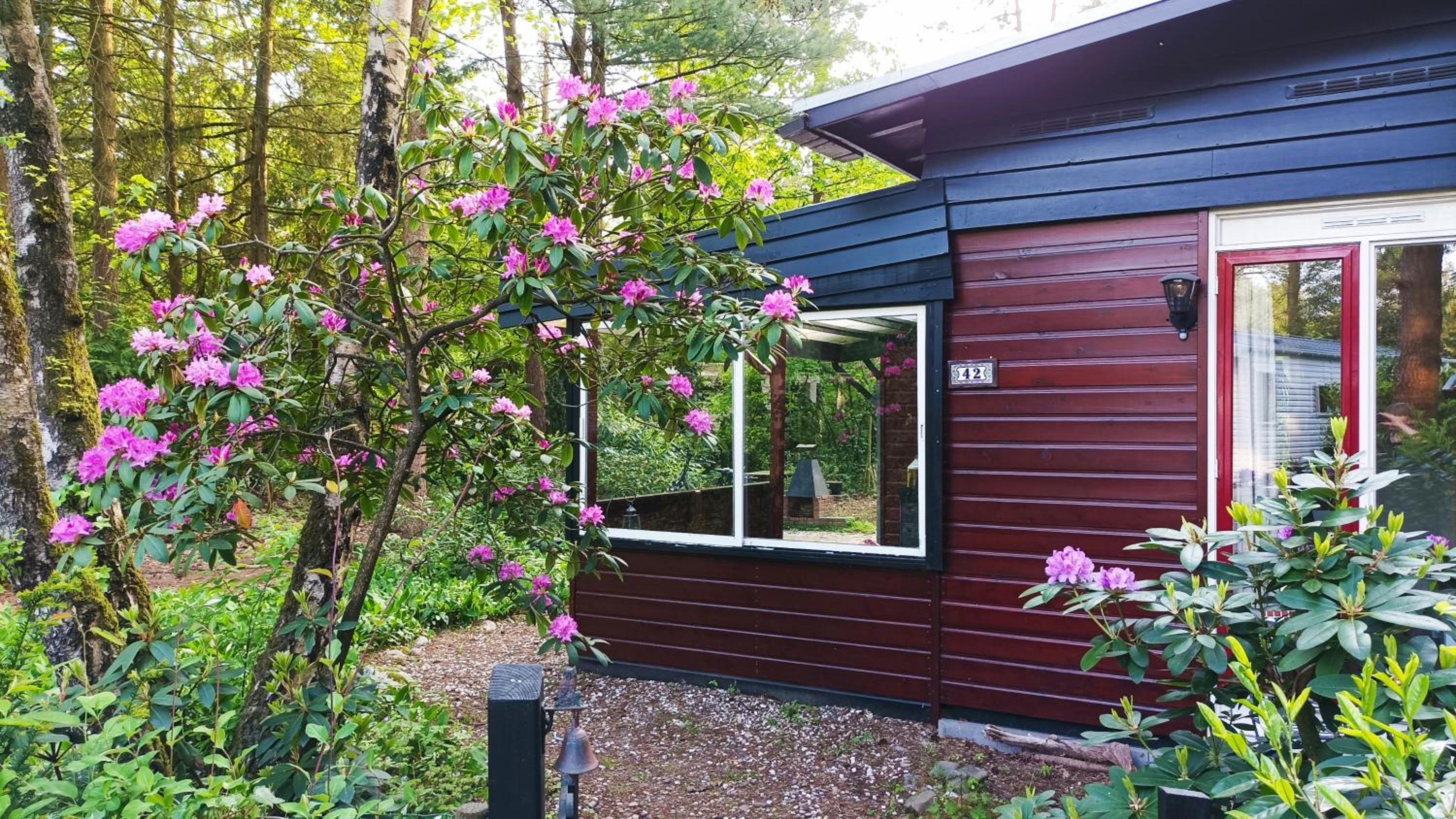 Bosbungalow de Eekhoorn view 2