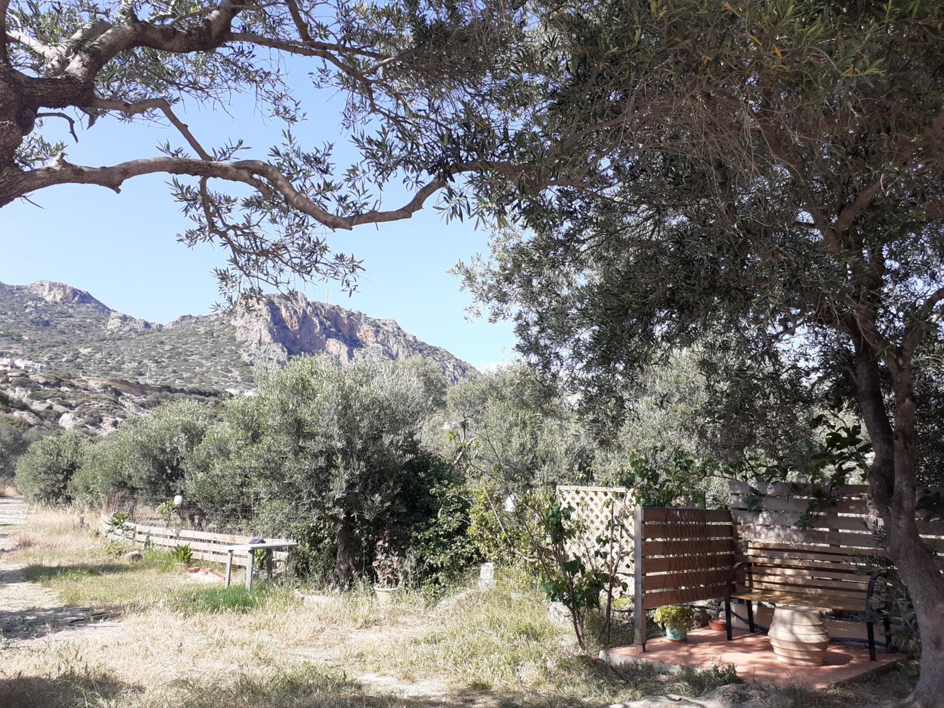 Photo 17