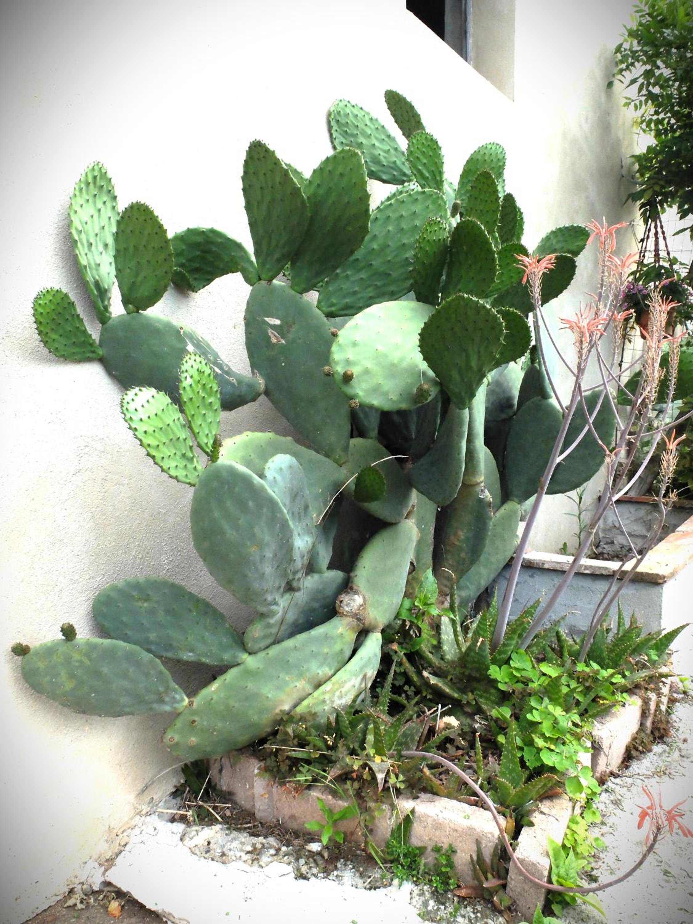 Photo 33