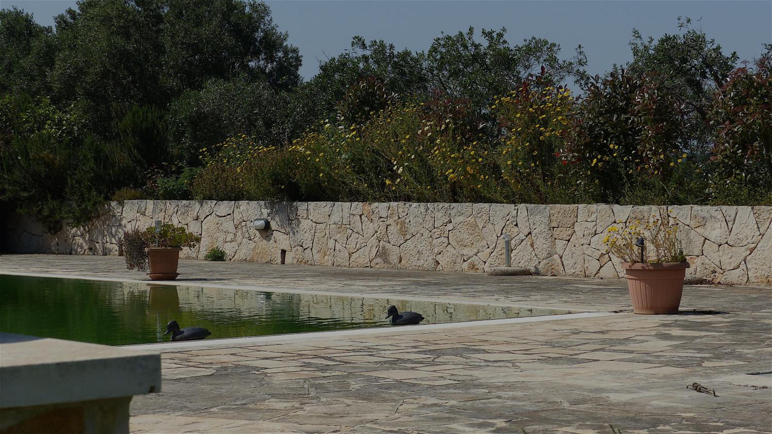 Photo 40