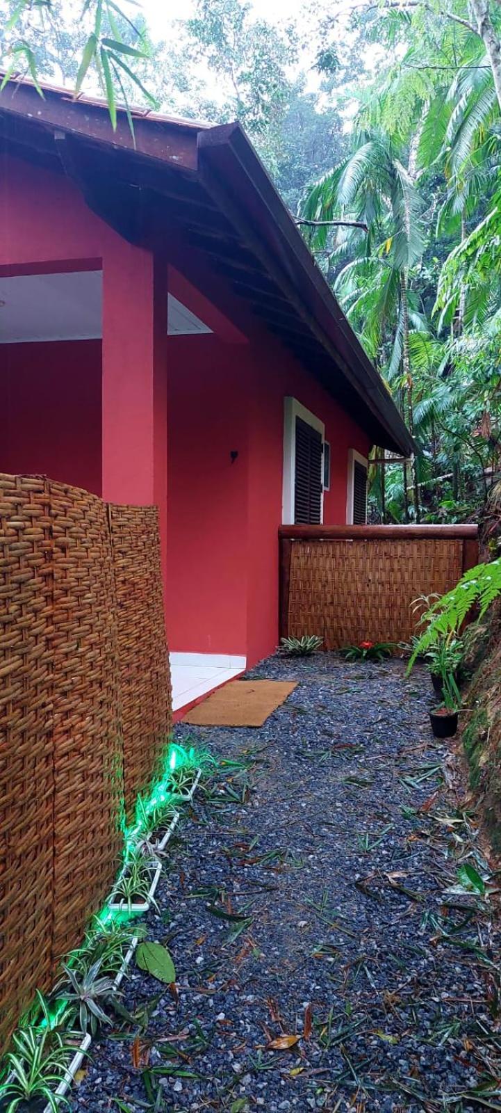 Casa da Floresta