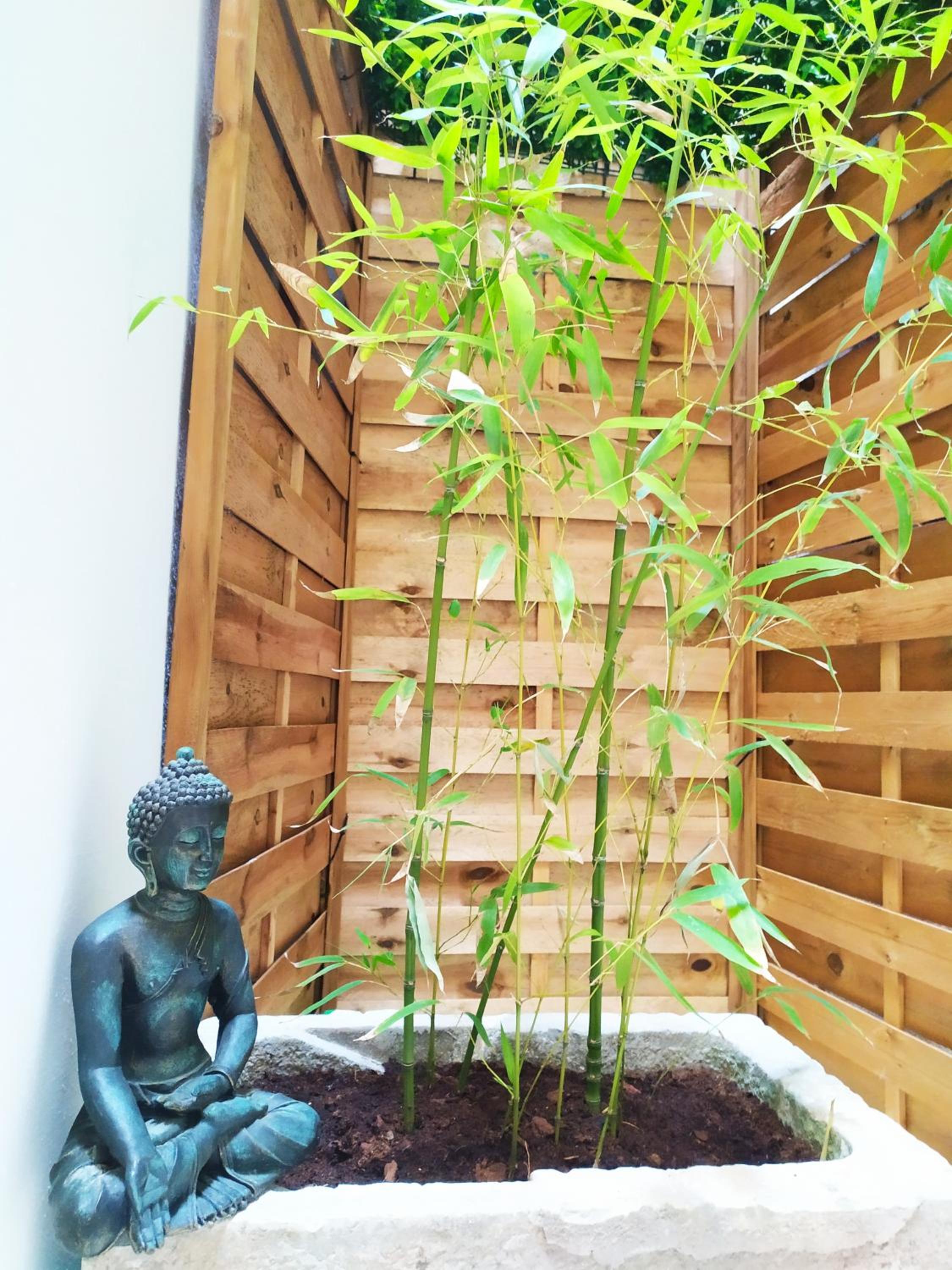 Laura's home view 5