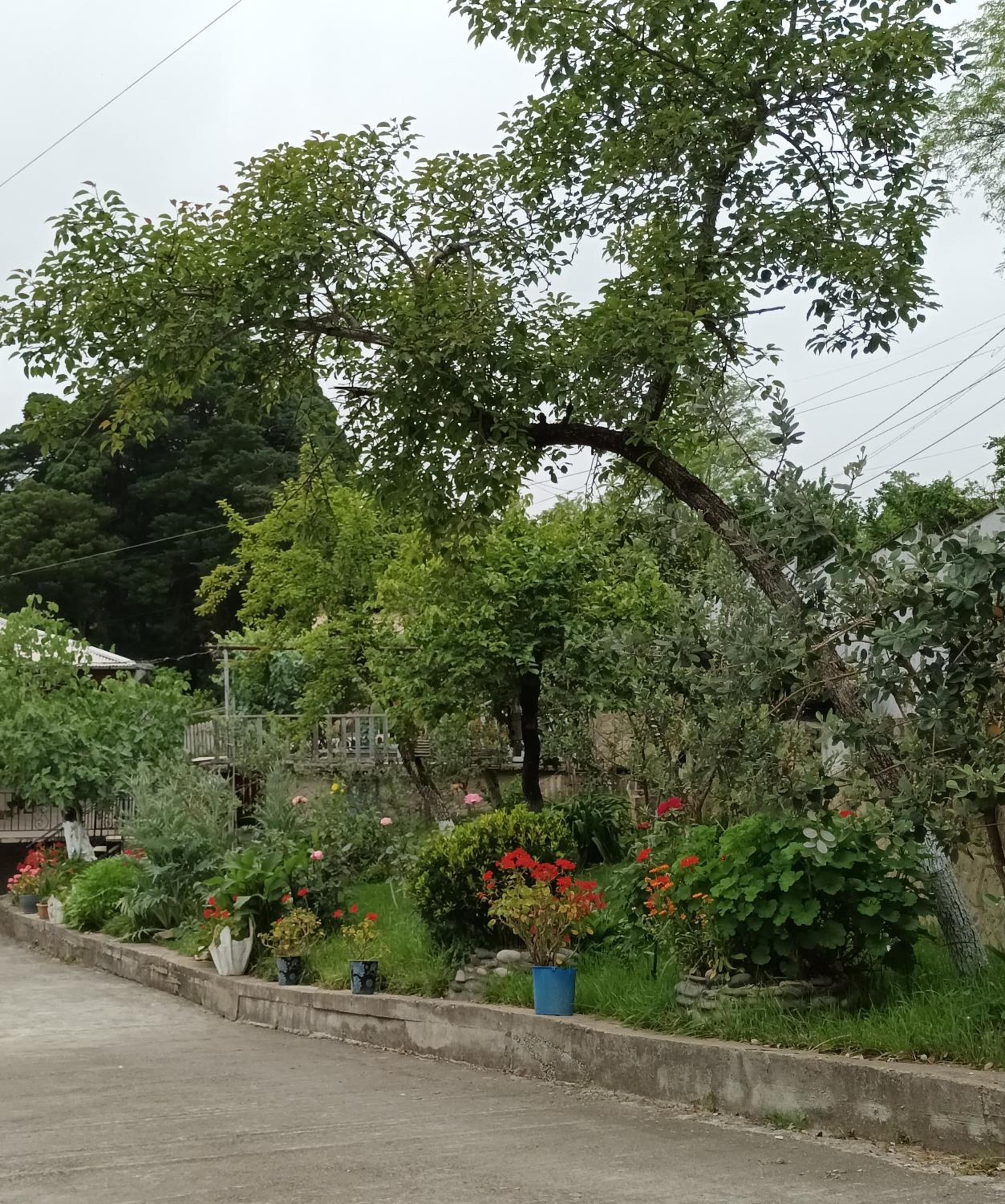 Magdan house, photo 99