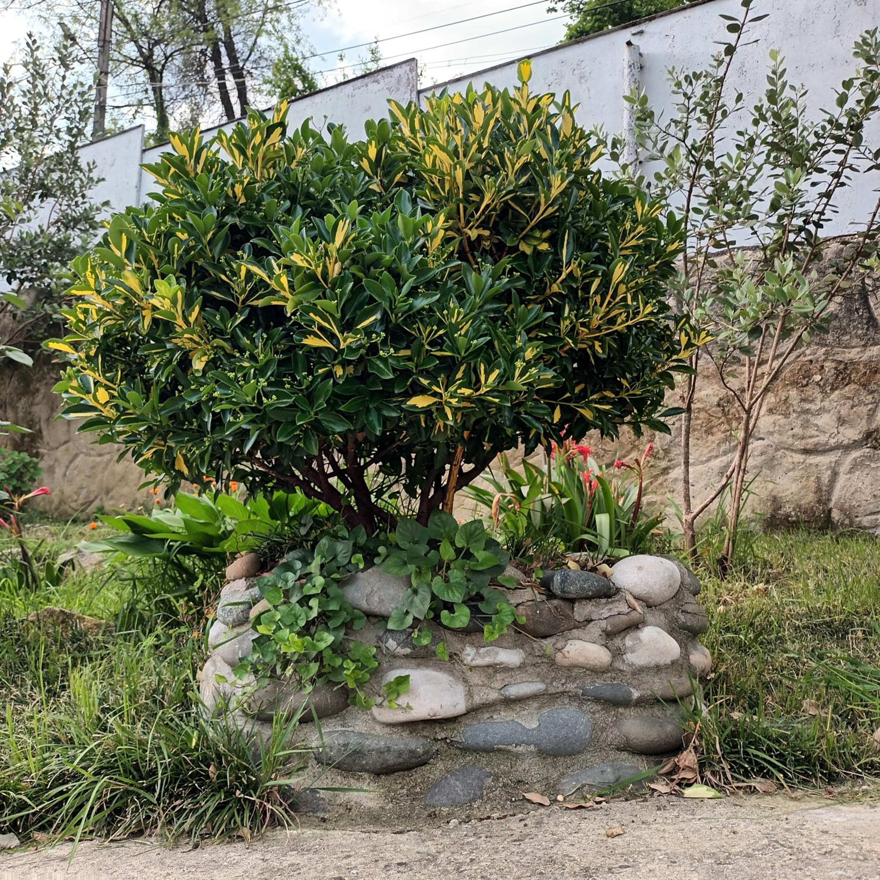 Magdan house, photo 71