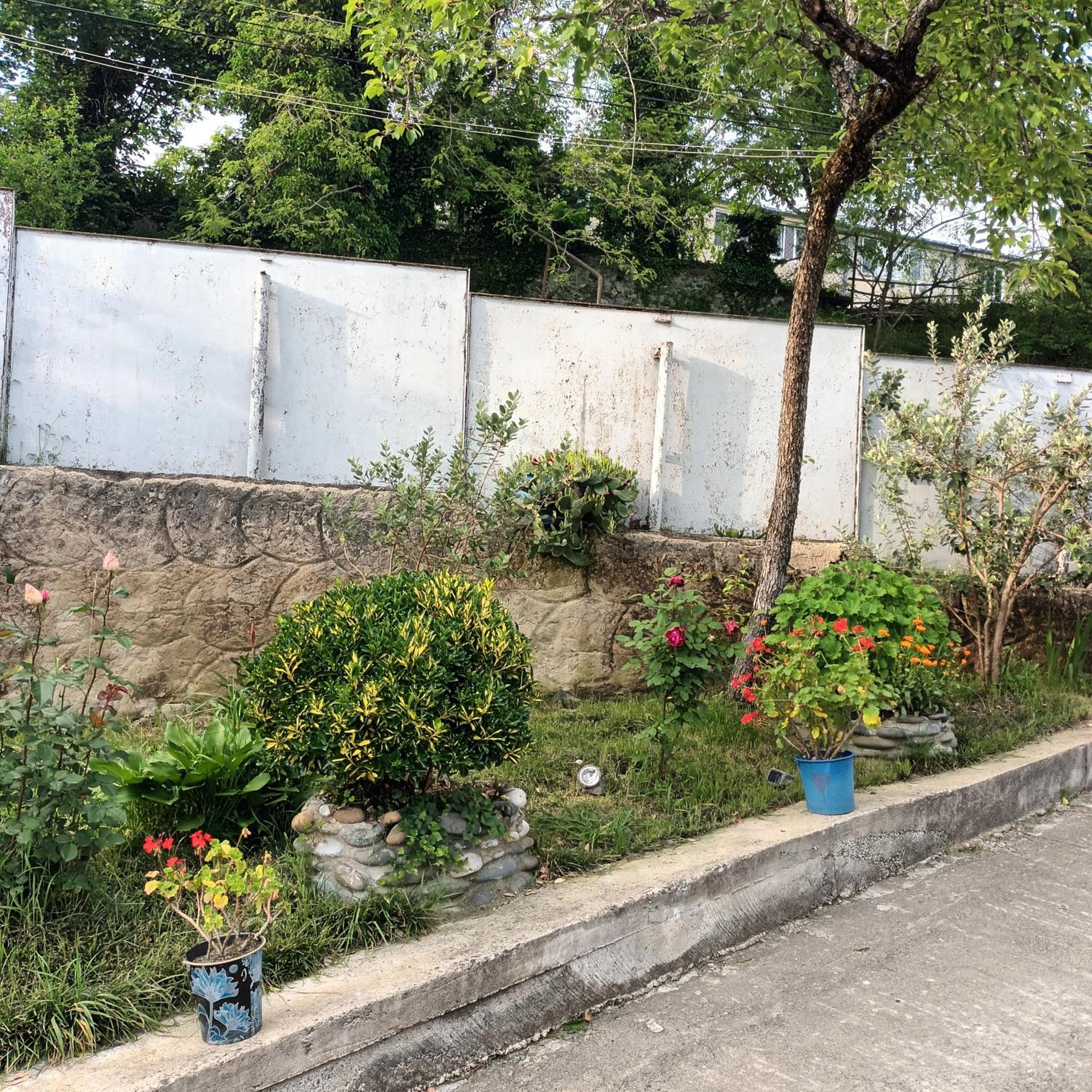 Magdan house, photo 43
