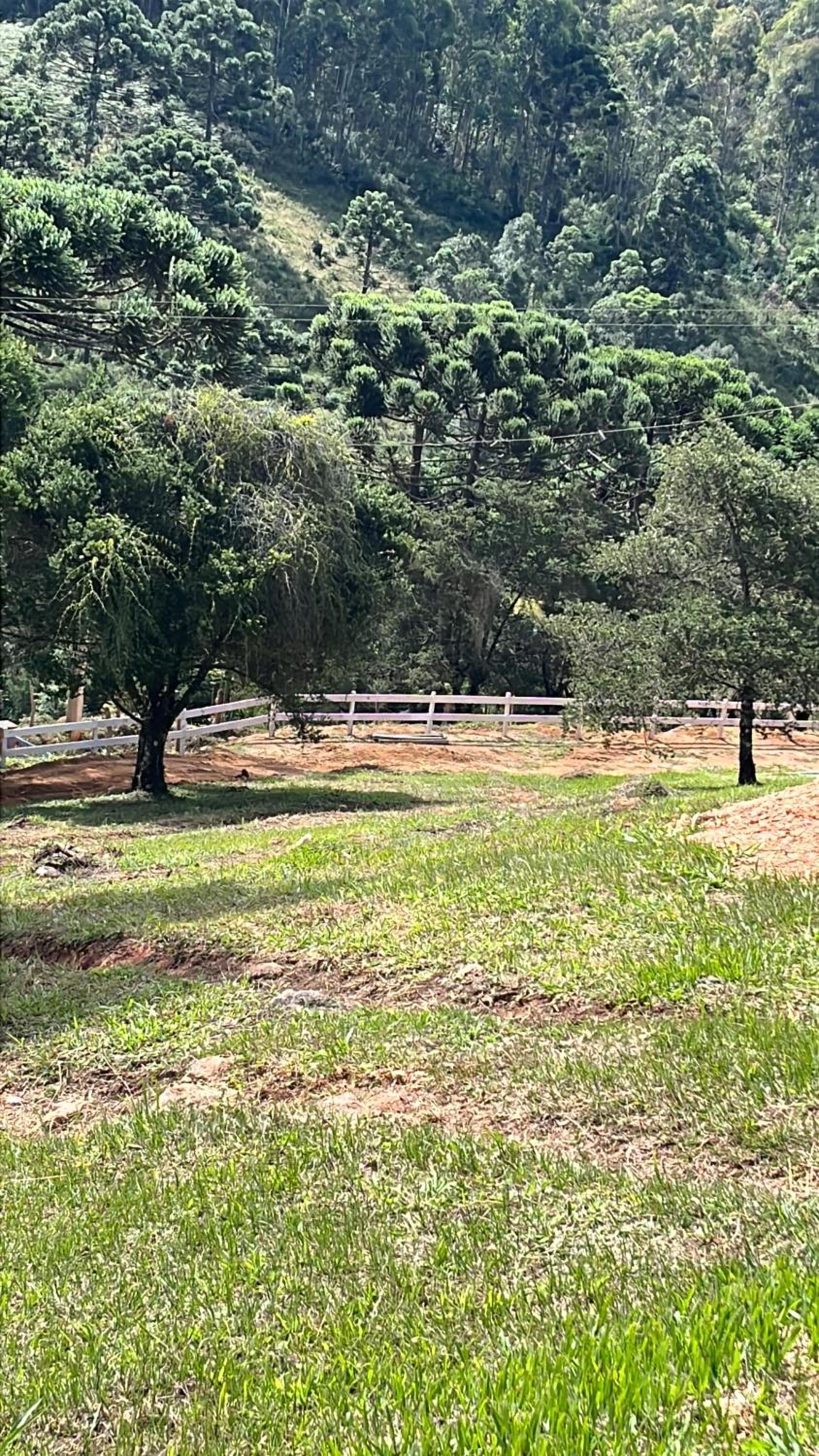 Chalés Pinheiros da Mantiqueira