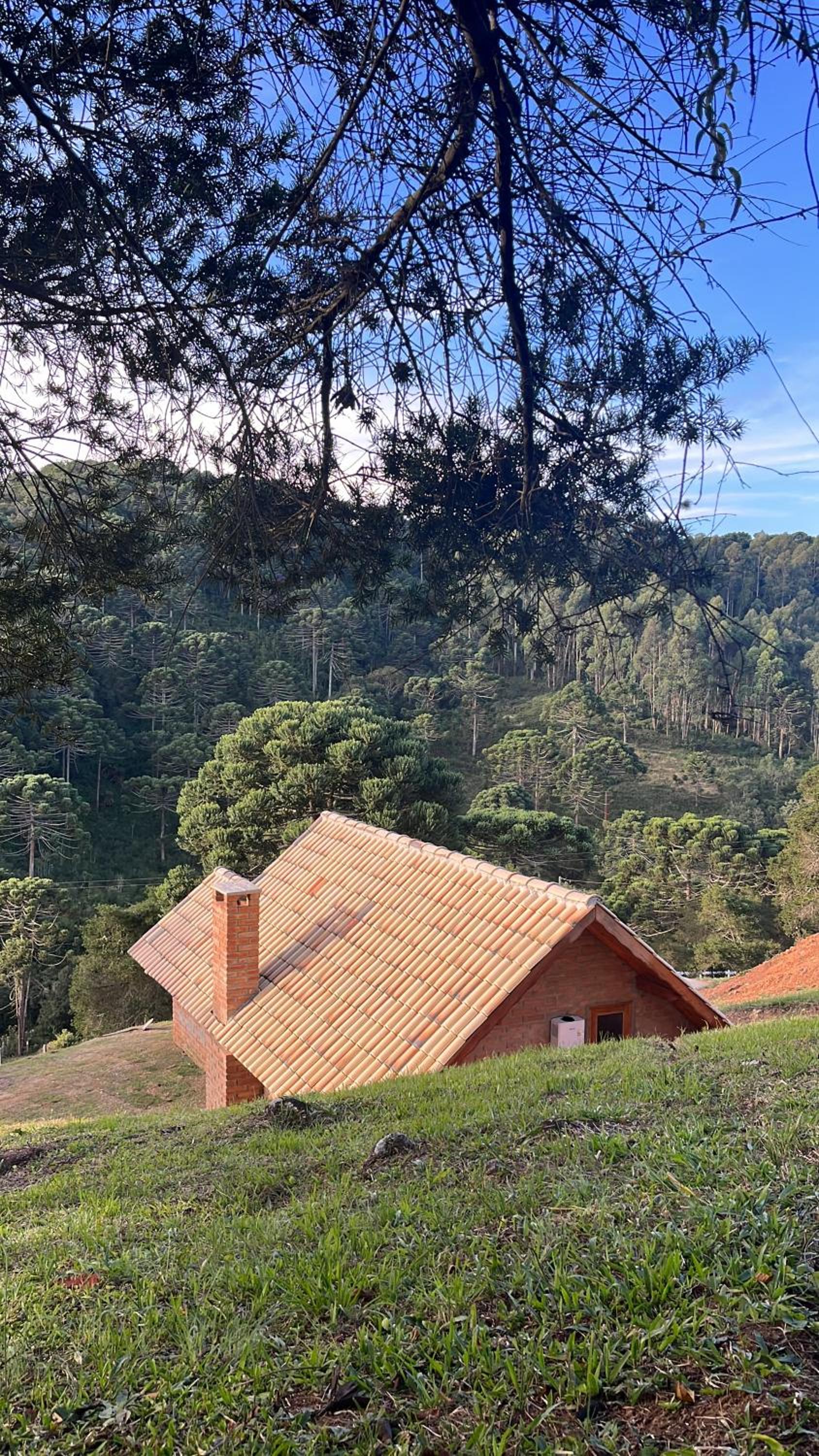 Chalés Pinheiros da Mantiqueira