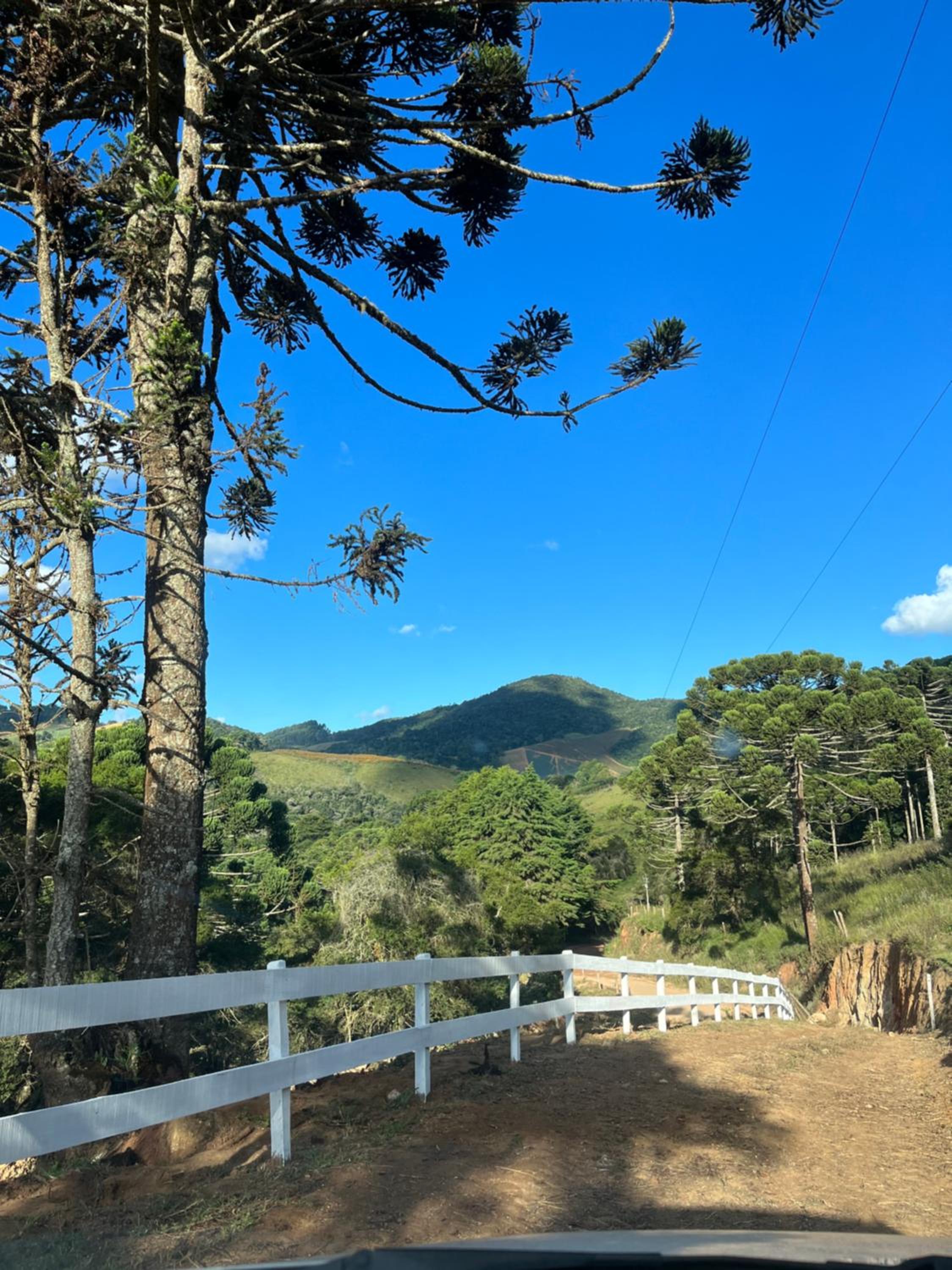 Chalés Pinheiros da Mantiqueira