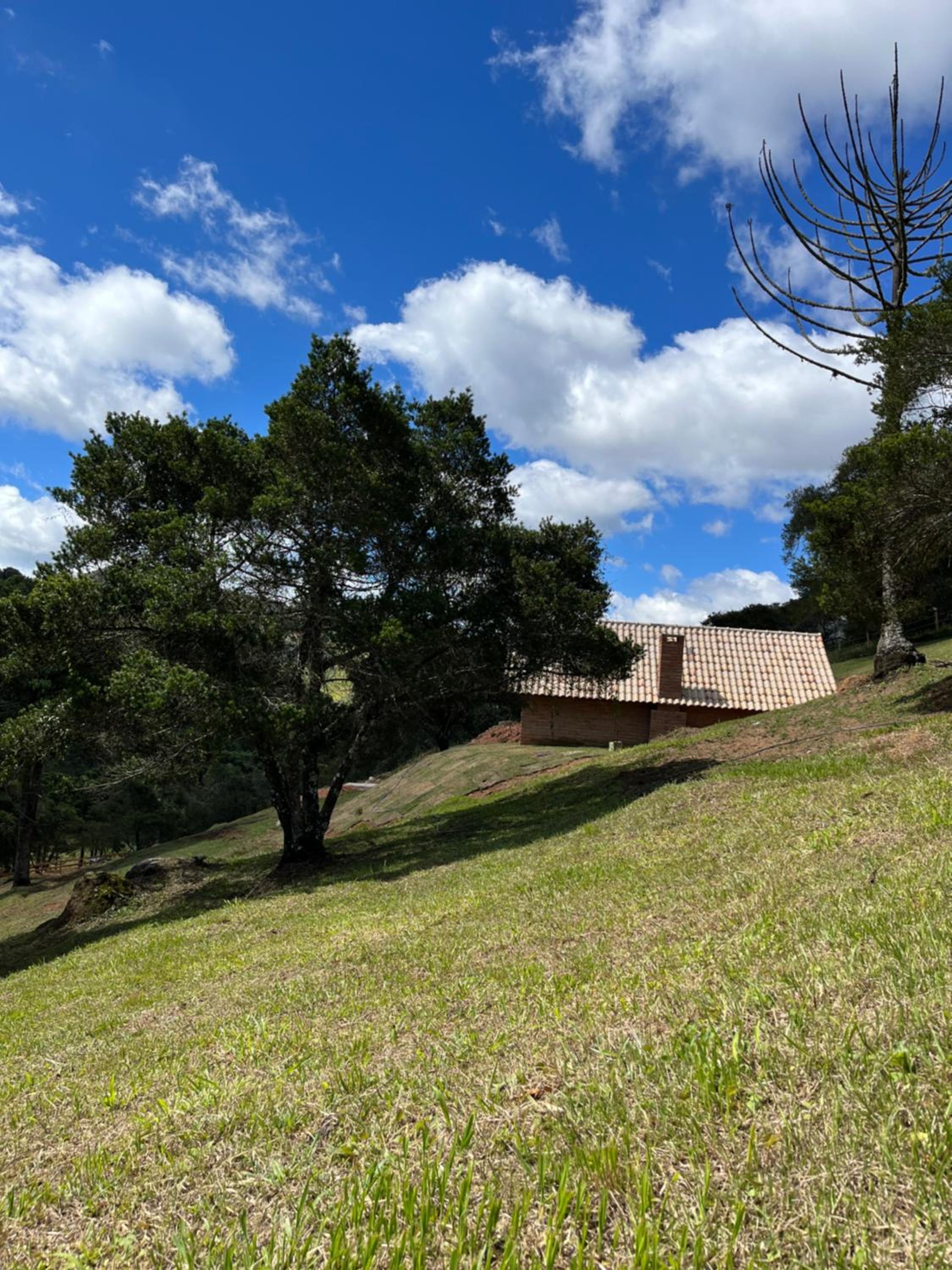 Chalés Pinheiros da Mantiqueira