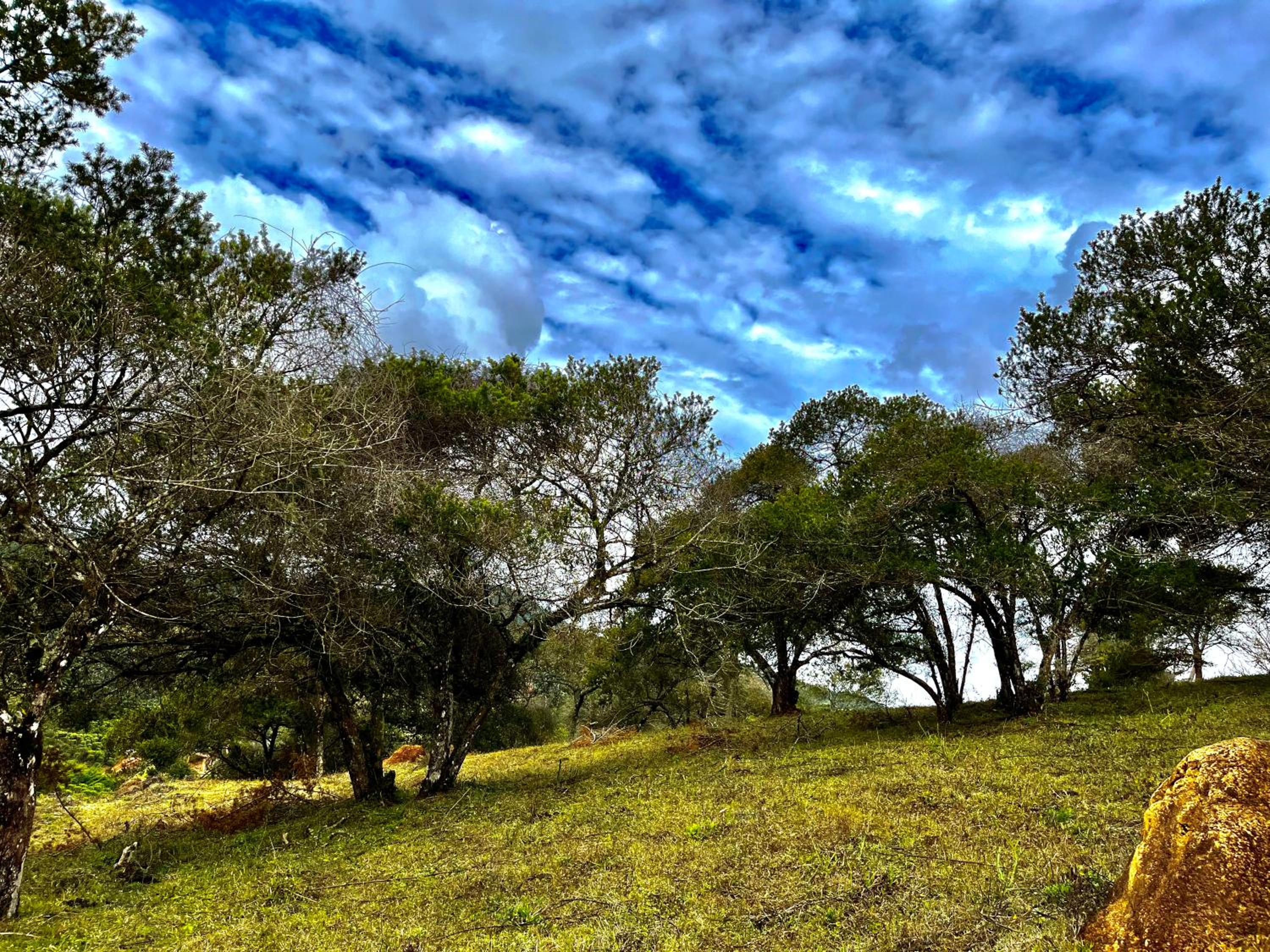 Chalés Pinheiros da Mantiqueira