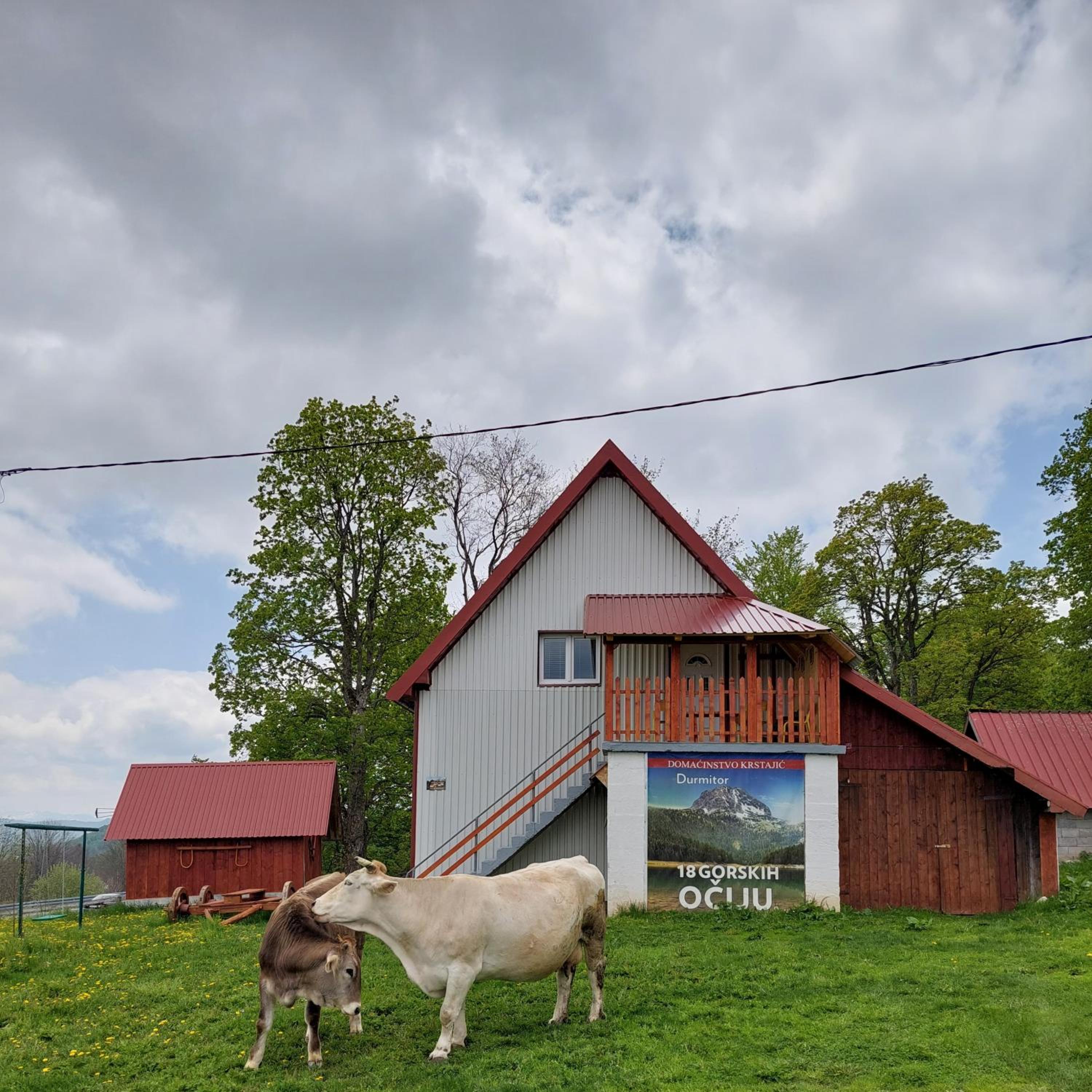 Domaćinstvo Krstajić - Rural holiday view 4