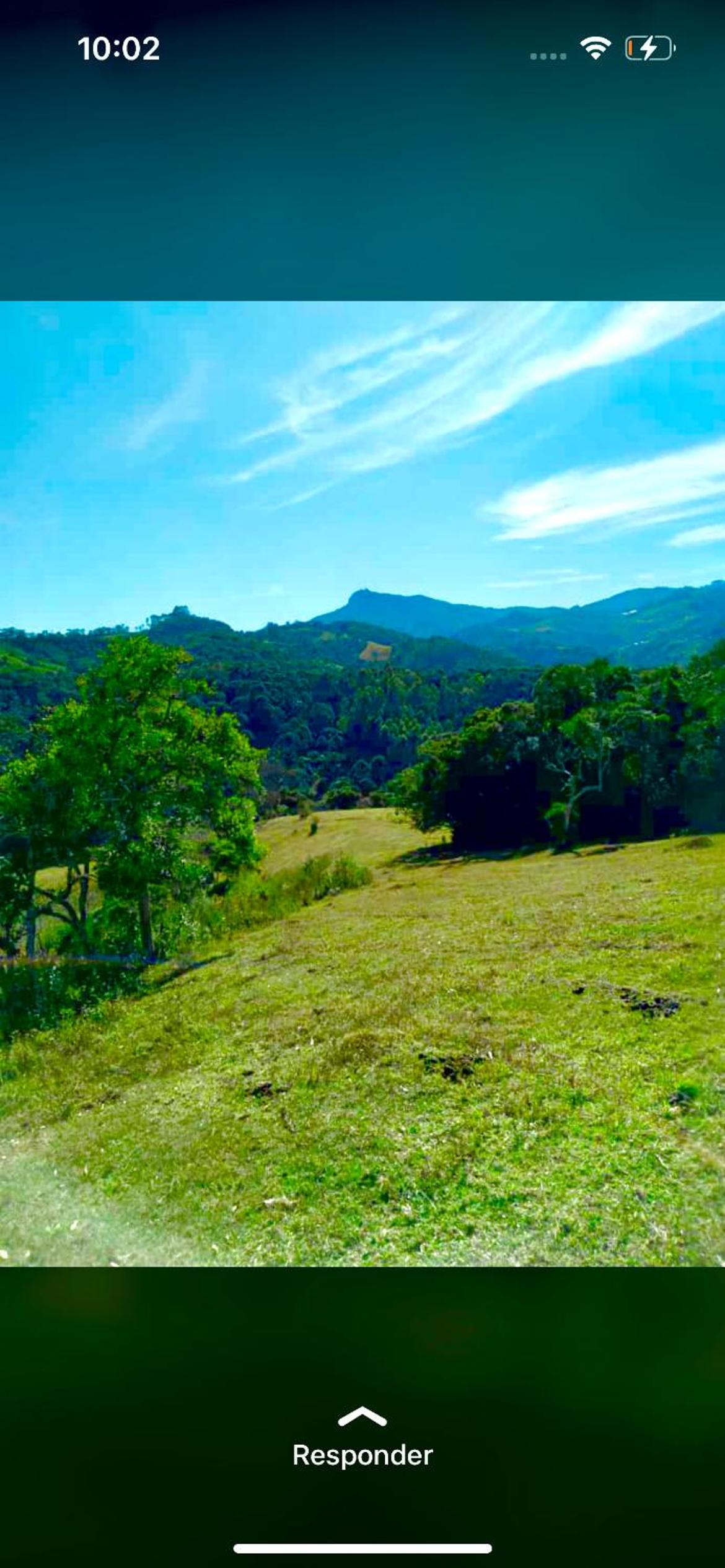 Chalés Pinheiros da Mantiqueira