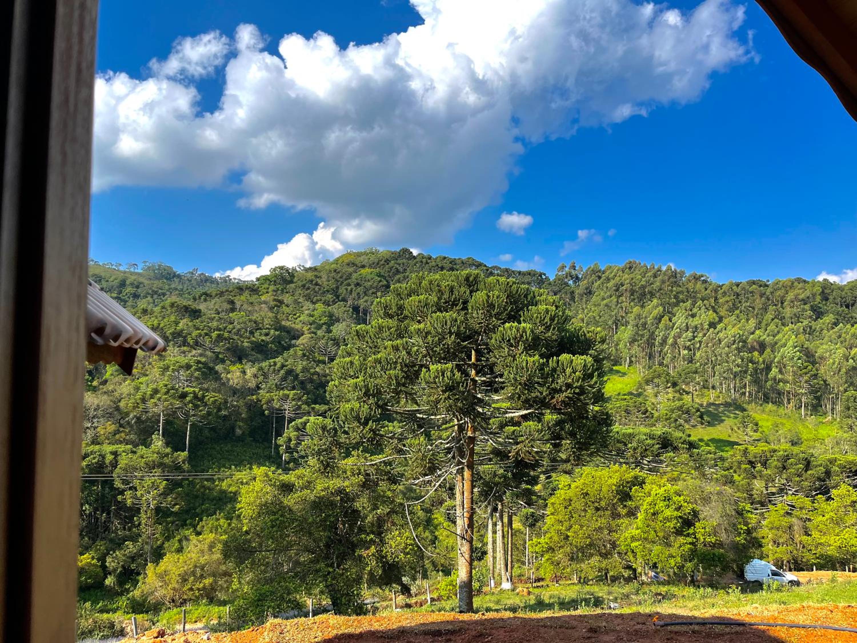 Chalés Pinheiros da Mantiqueira