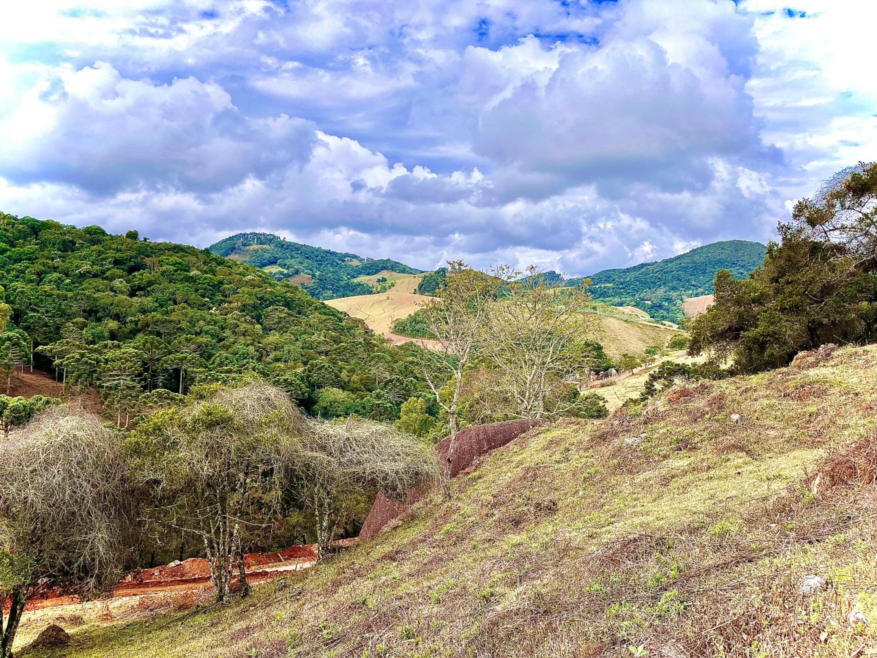 Chalés Pinheiros da Mantiqueira