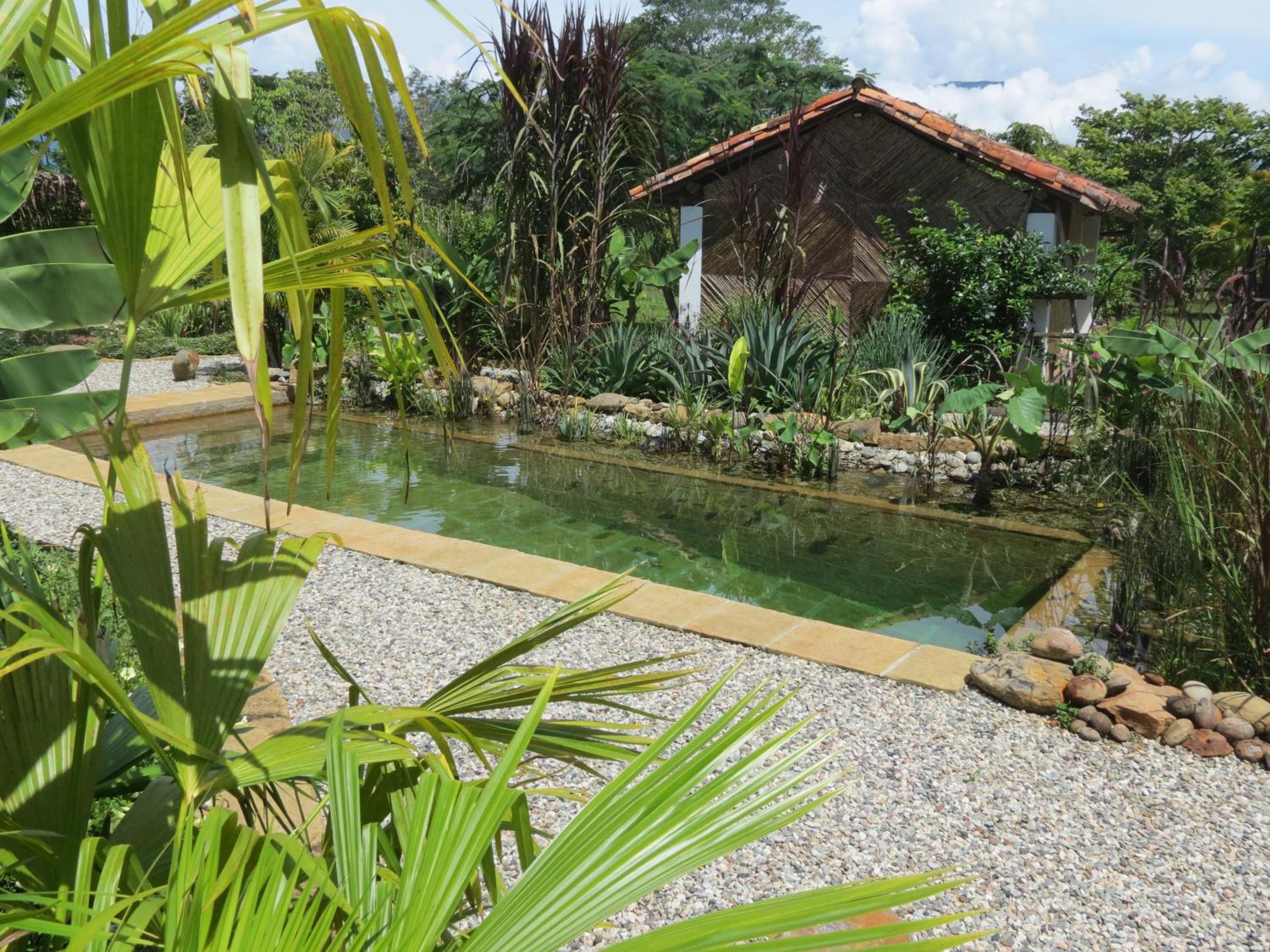 Casa Alamanda B&B