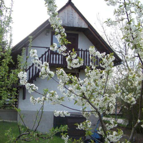 Nefelejcs Apartman