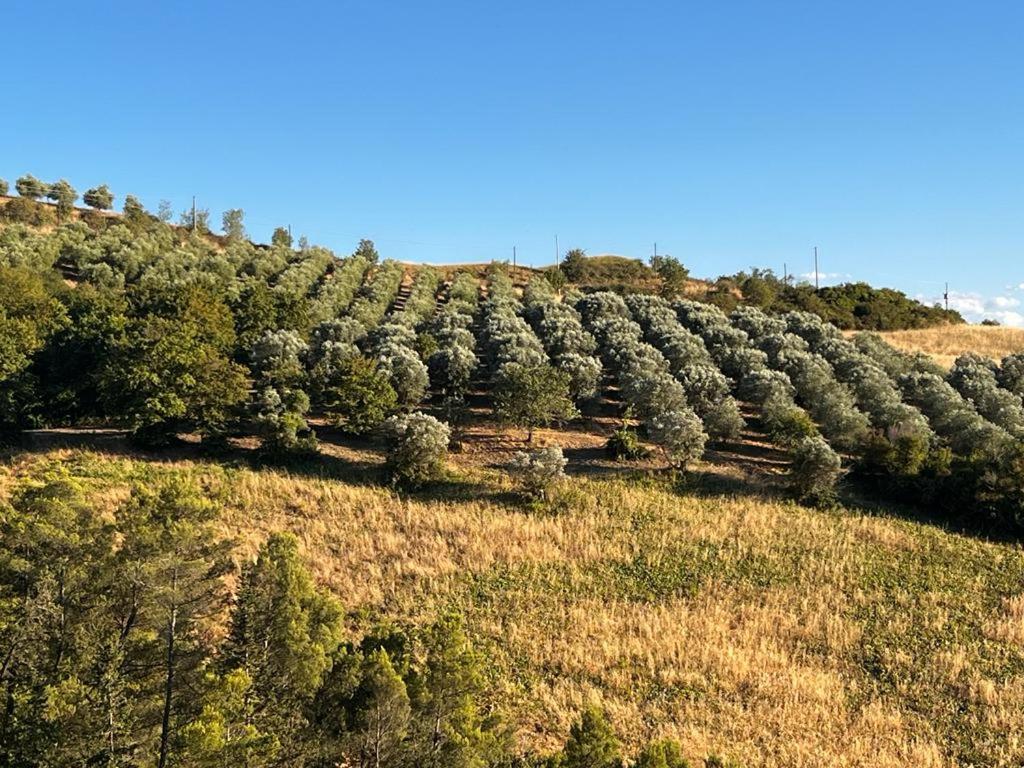 Antica Colombaia