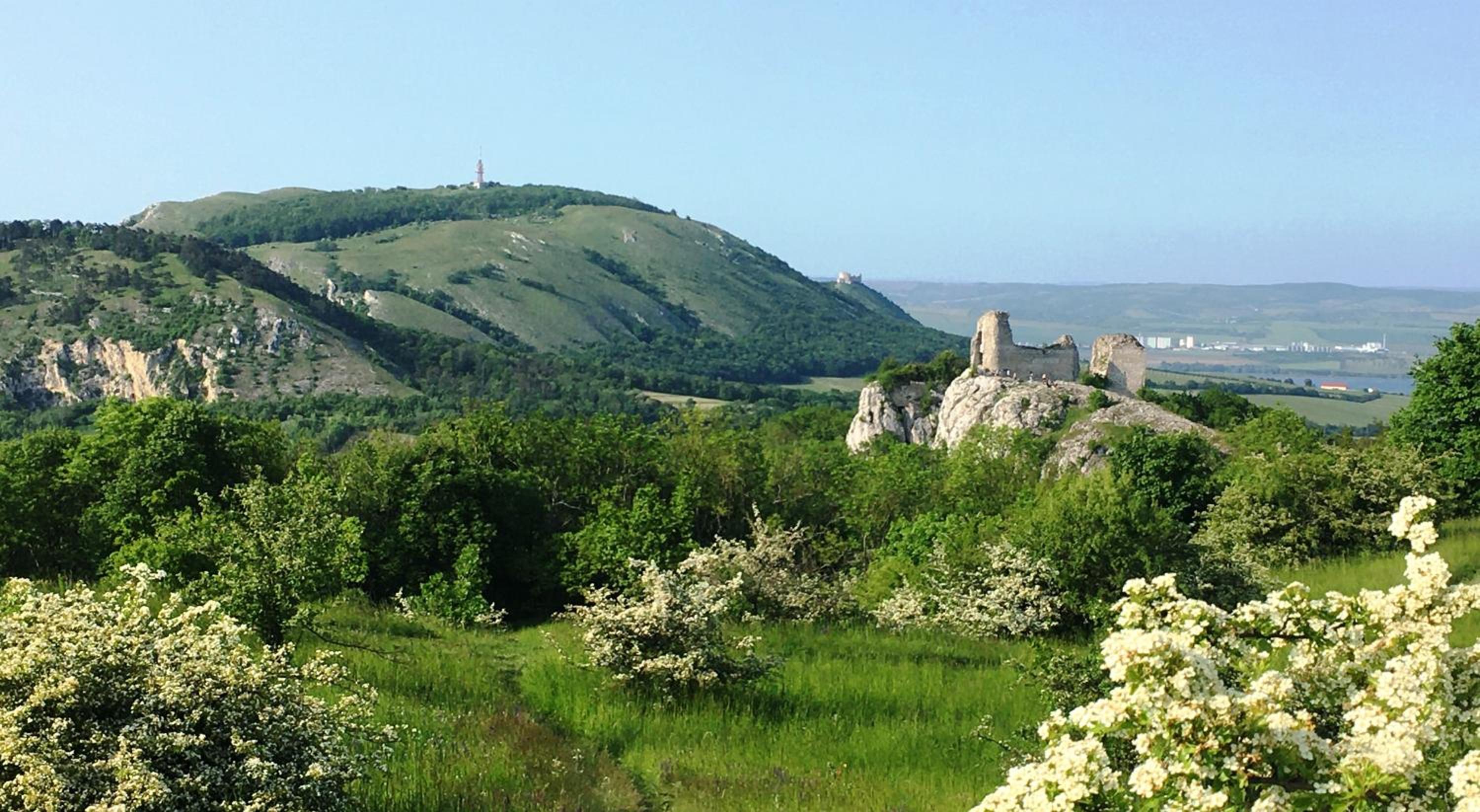 Apartmány Viktorín