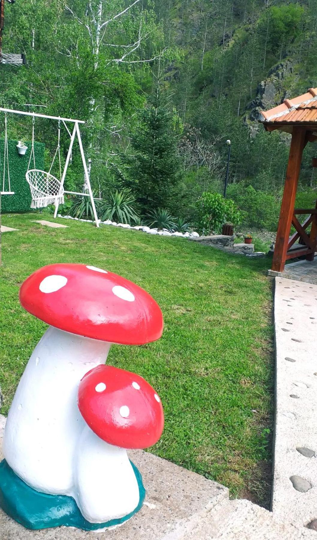 Photo 24