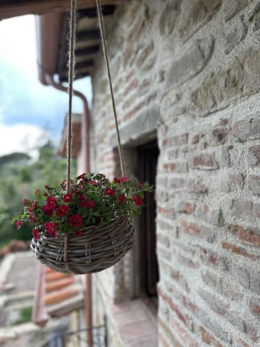 L'oasi delle volpi view 3