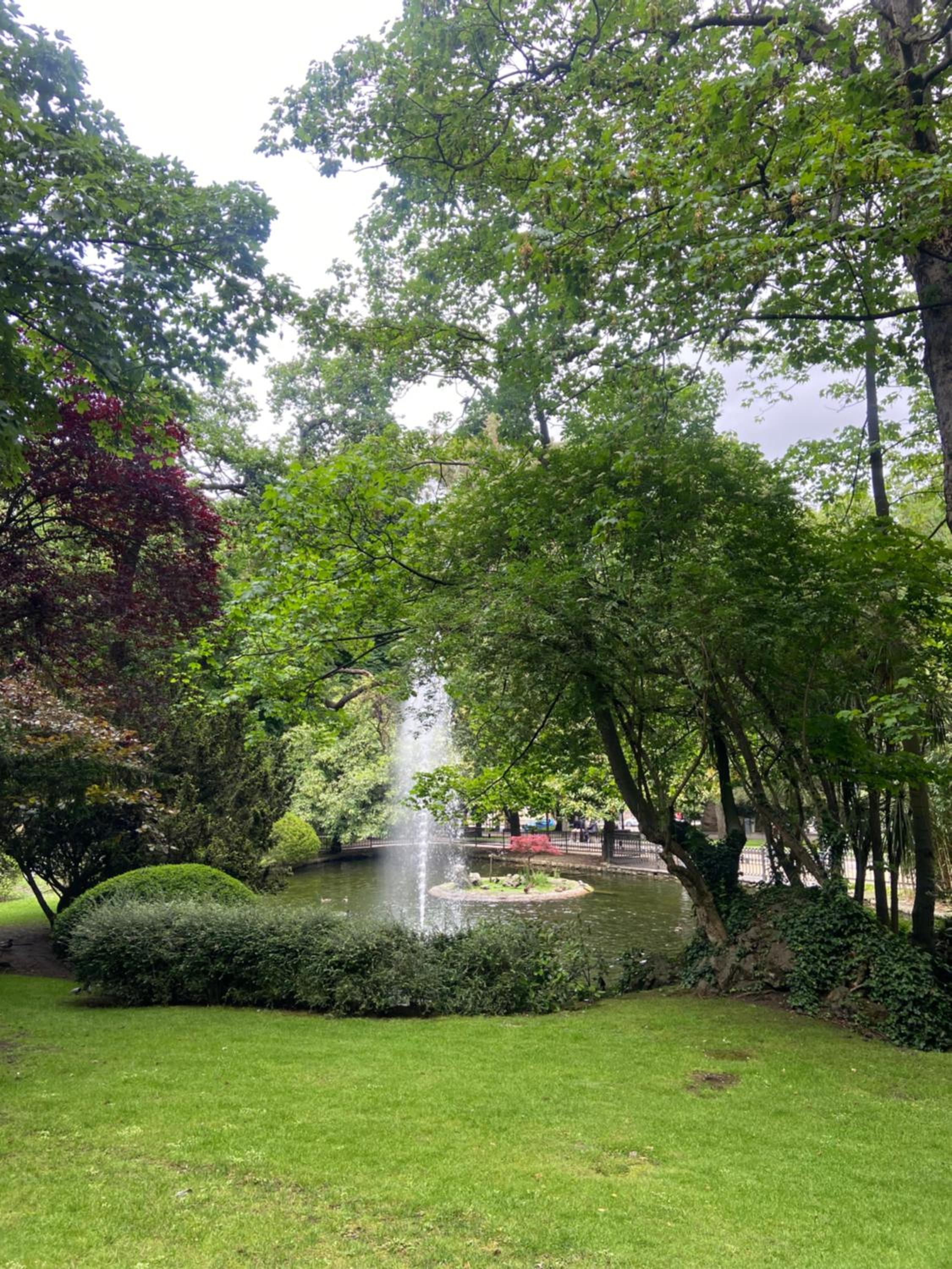 Photo 17