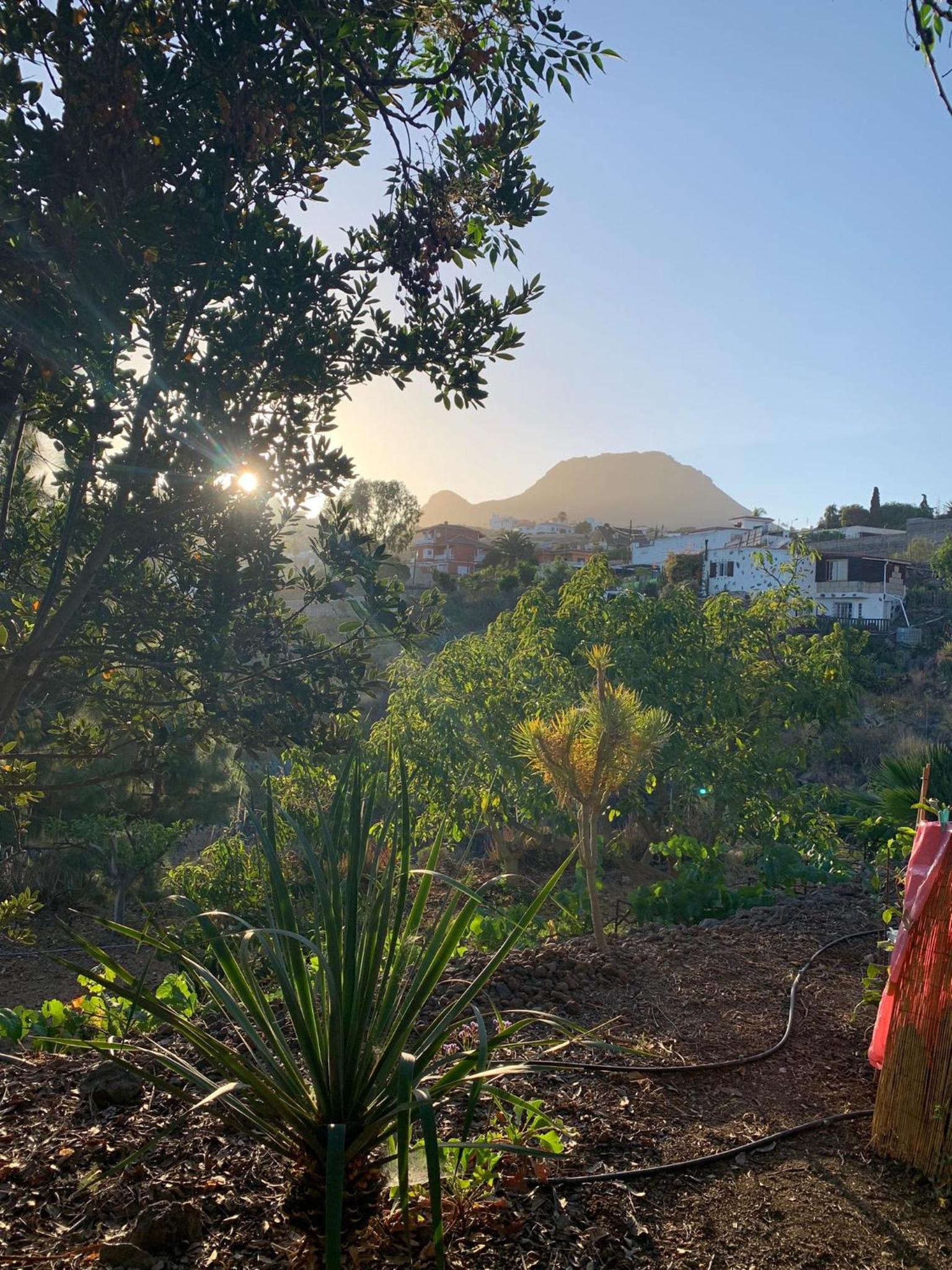 Stilvolle Villa in Teneriffa Süd