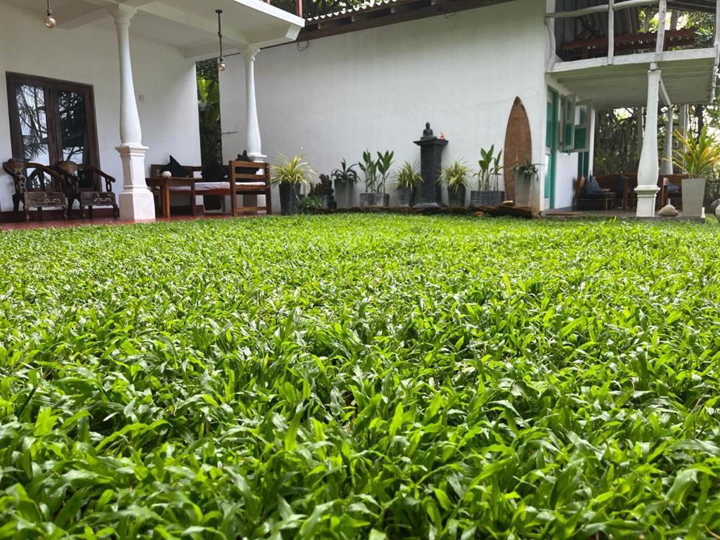 Beach House Kalukatiya - Family Villa, Seaview Room, Garden Room, Beach Cabana view 2