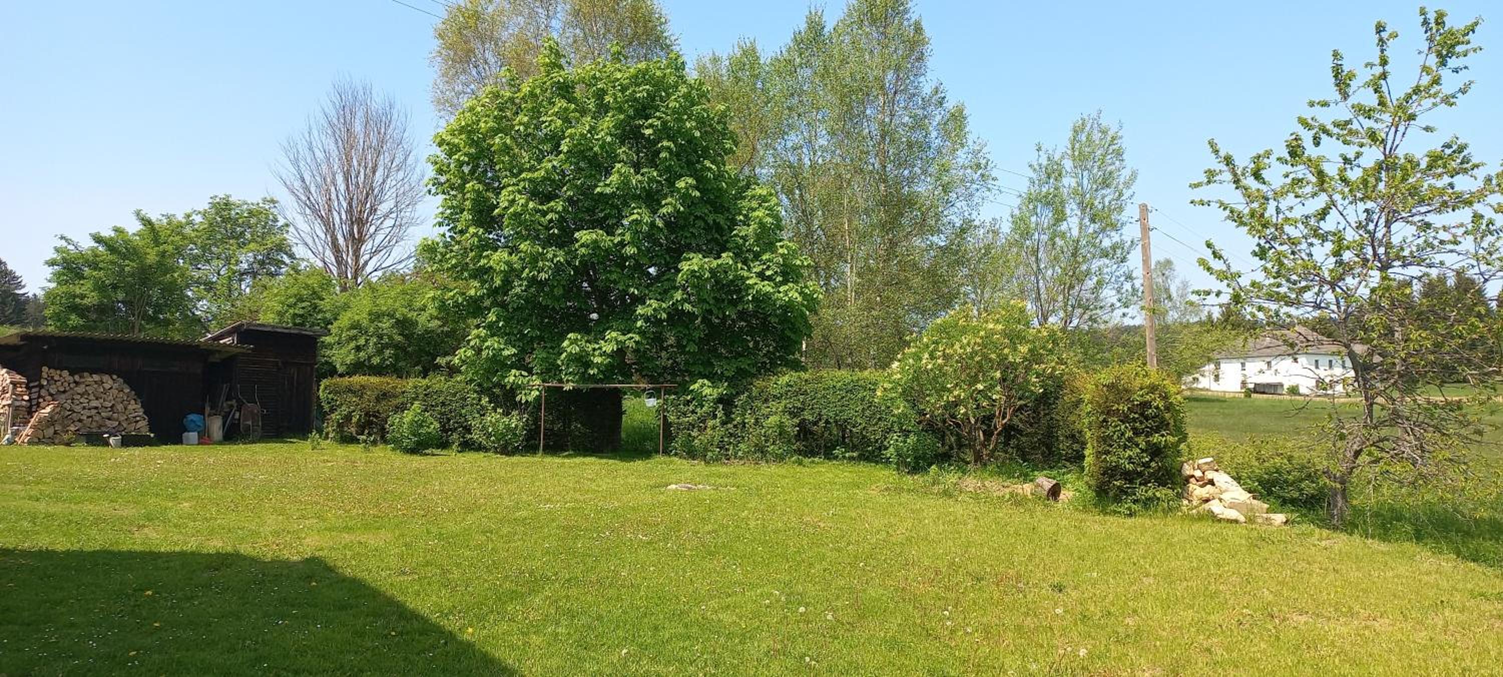 Apartmán v Jámě