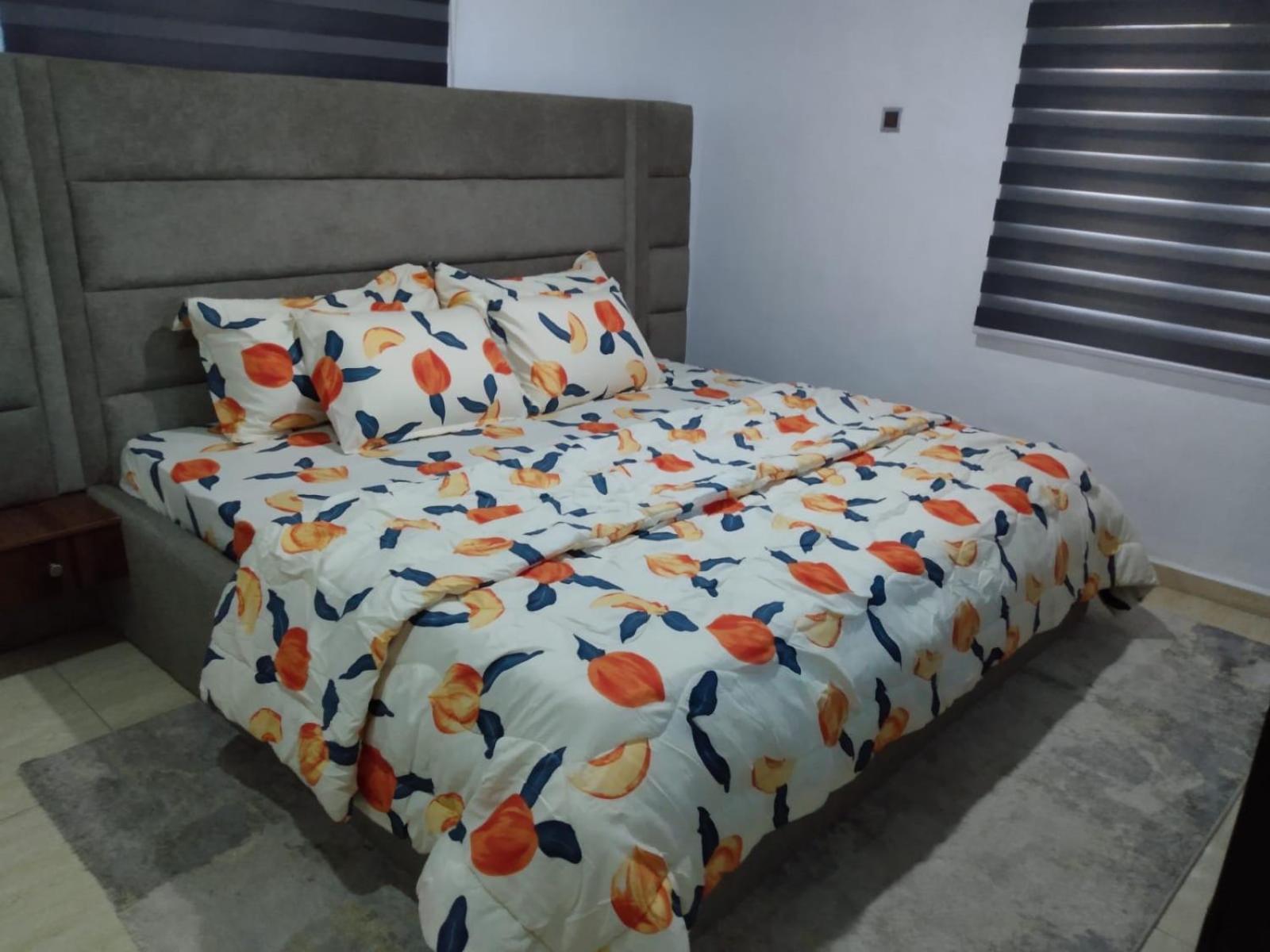 Exquisite and Cozy 3-bedroom Apt with hot-tub, WiFi, DSTV, and Inverter Power Backup view 4