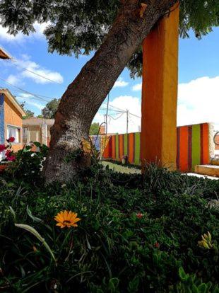 La Casa del Cerro