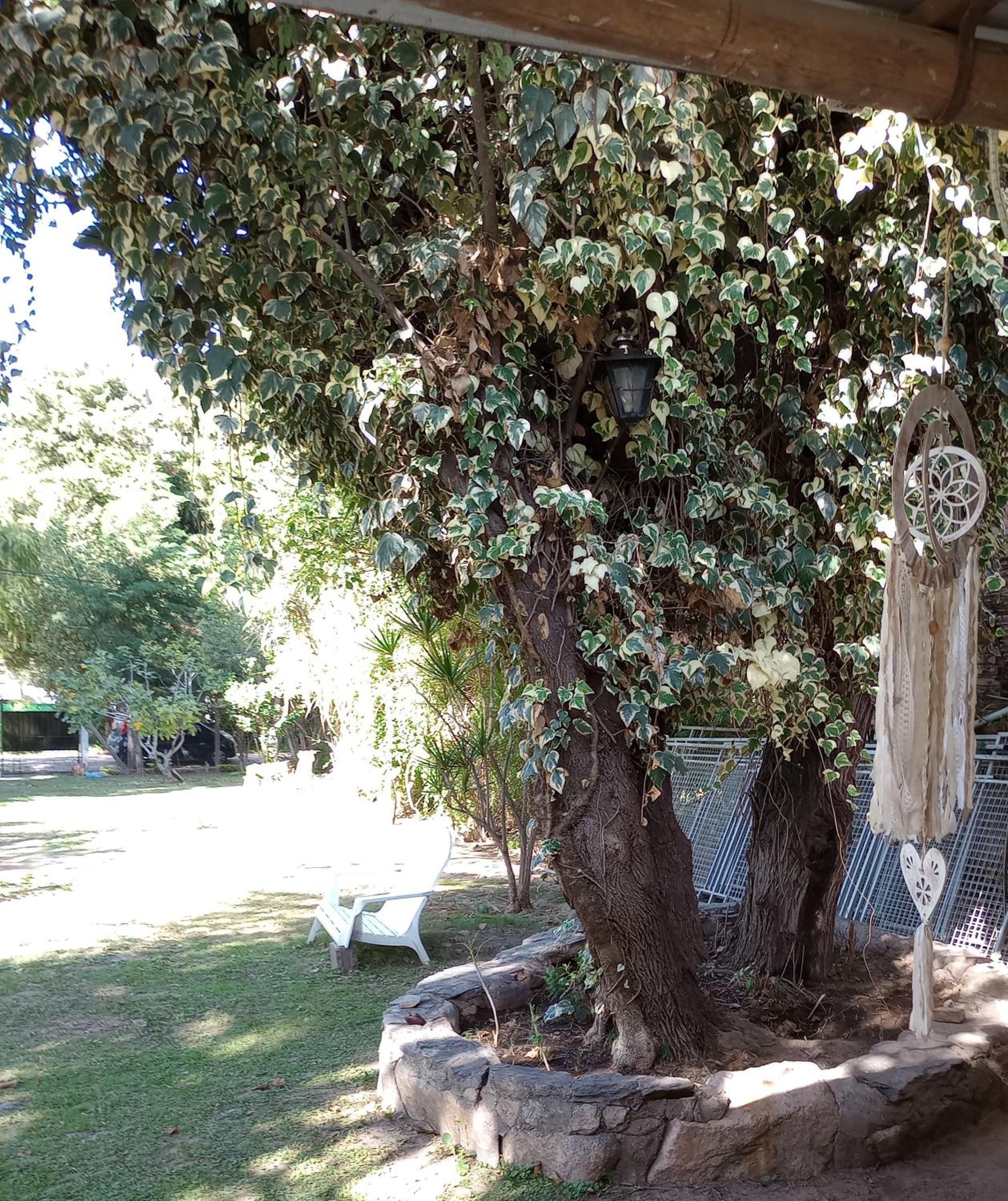 El quincho