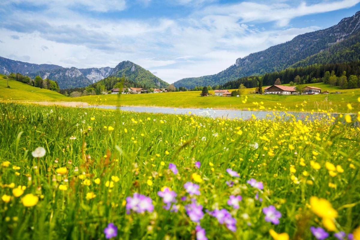 Ferienhaus Froschsee inkl. Chiemgaukarte