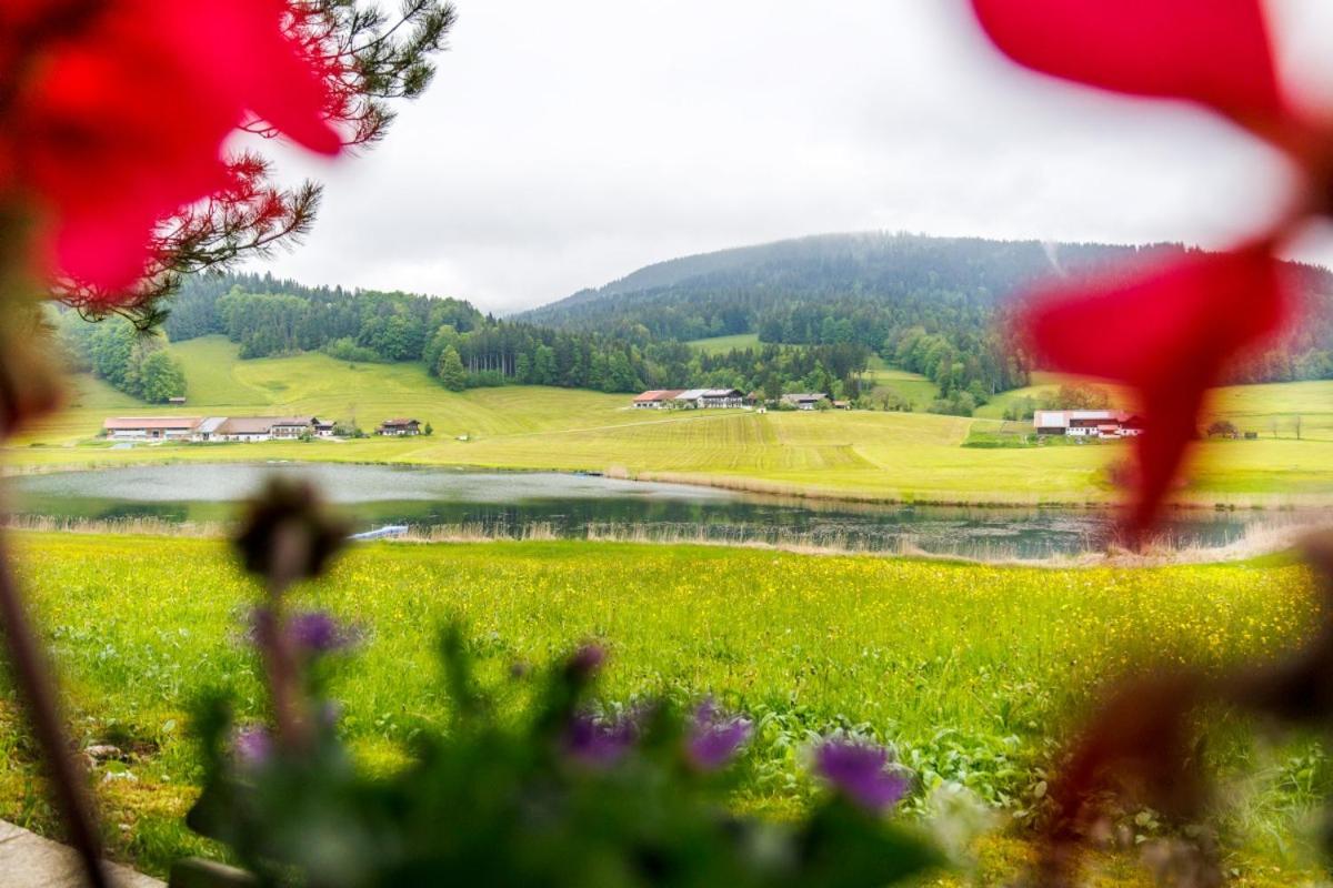 Ferienhaus Froschsee inkl. Chiemgaukarte