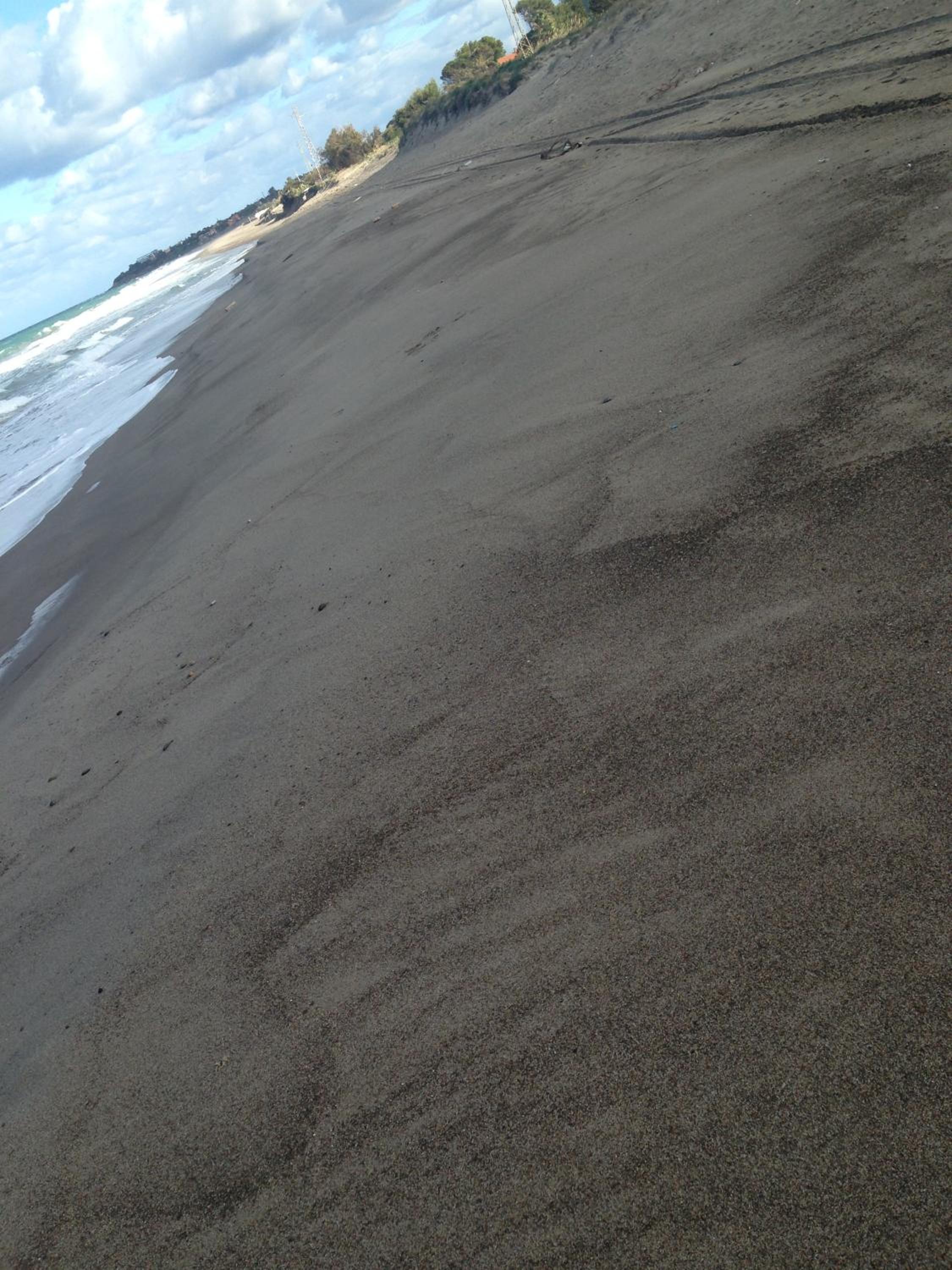 Photo 52