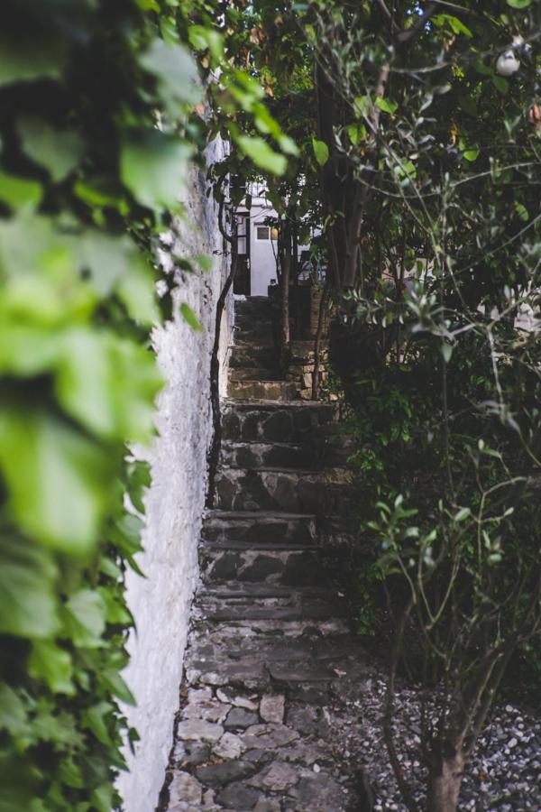 Berat Backpackers Hostel