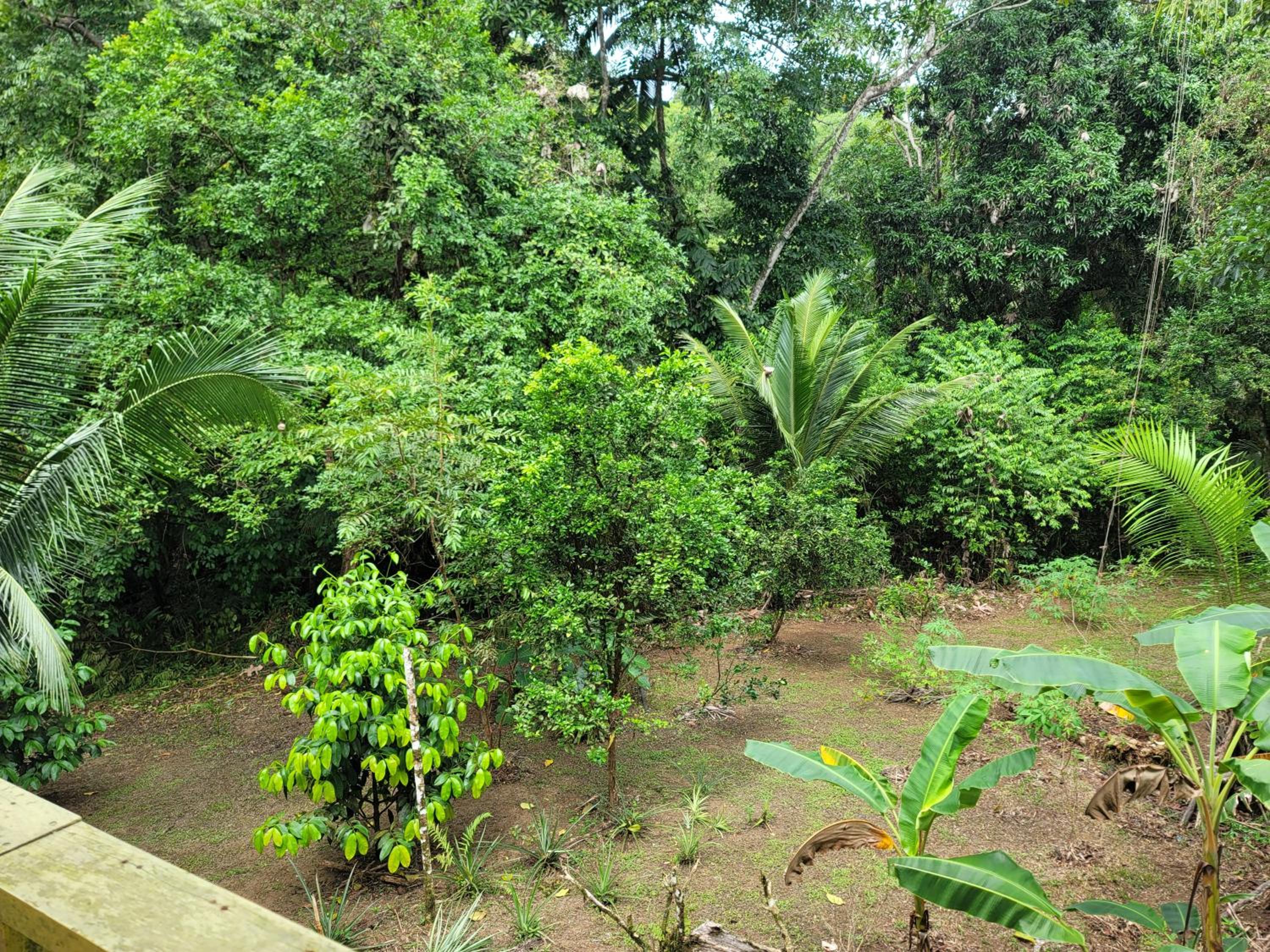 Ecohotel Bahía Terco