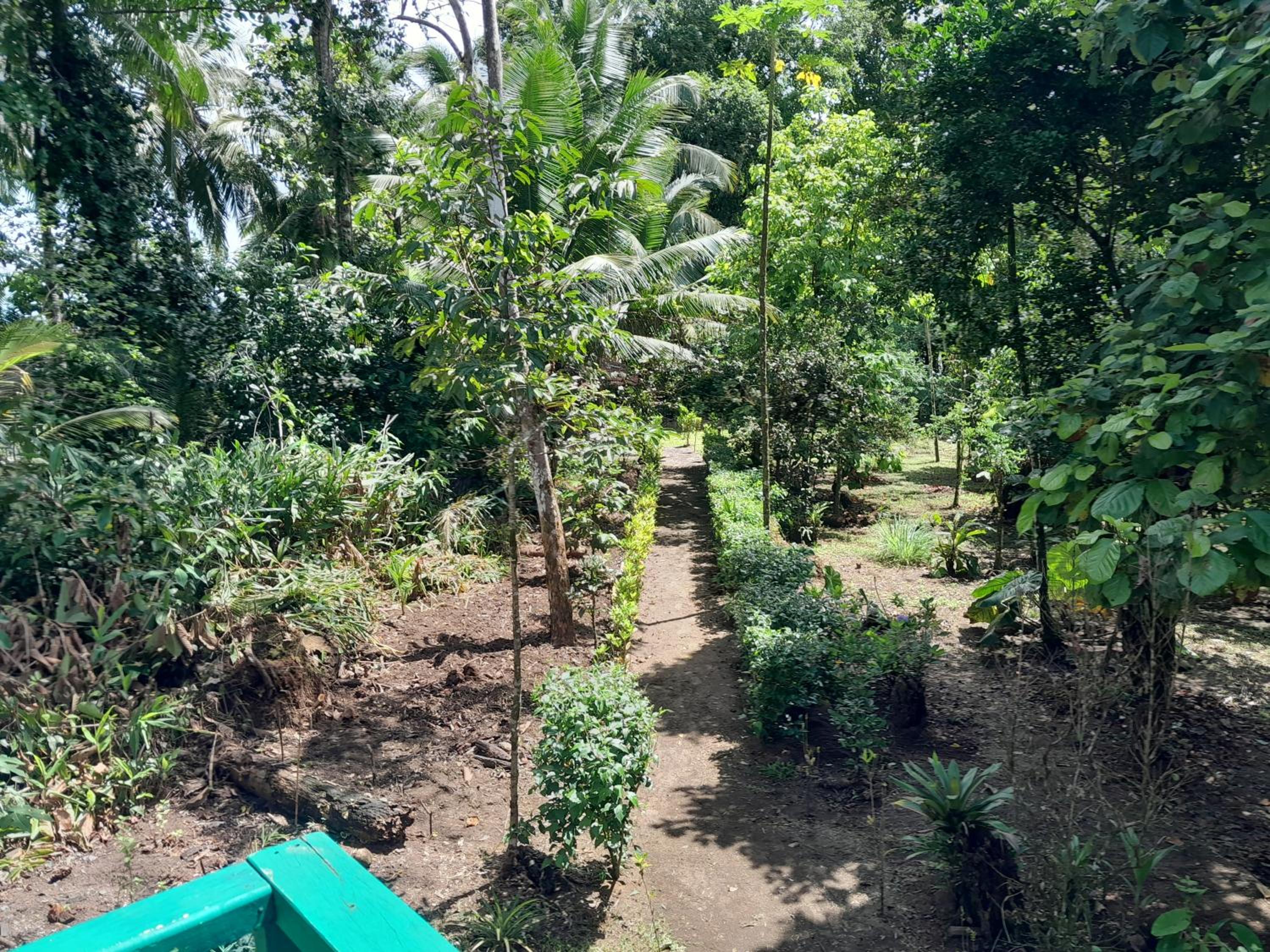 Ecohotel Bahía Terco