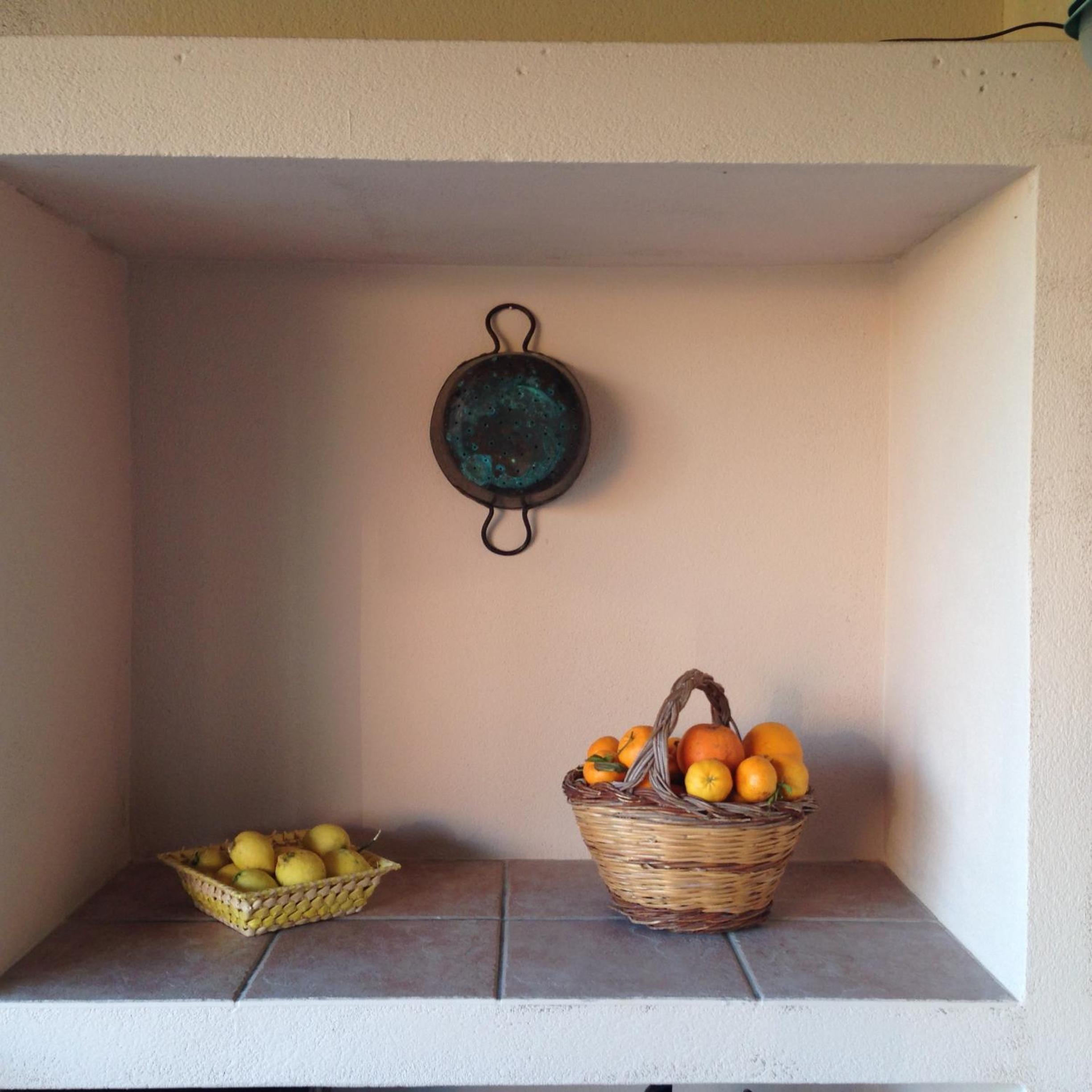 Photo 41
